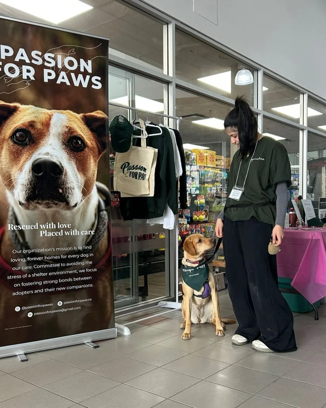 Looking back on 2025 with so much pride.

Every rescue, every foster, every adoption&hellip; it all happened because of our incredible community around Passion for Paws.

This year, we asked our team to share their favorite moments and little behind-