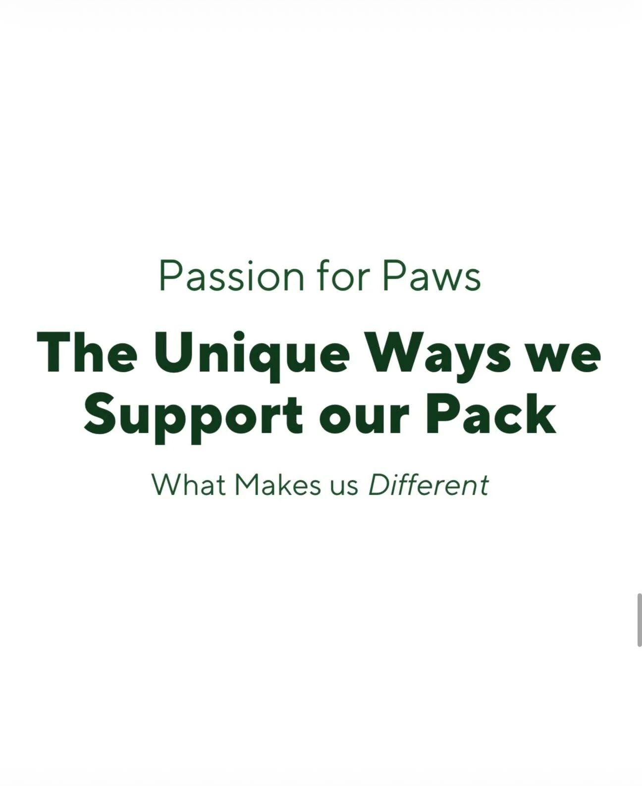 What makes Our Pack different? It doesn&rsquo;t stop at adoption.

  From our foster-based program (with supplies provided), to our adoption packages, pupdates, WhatsApp support group, and informational guides, we make sure every dog and every adopte