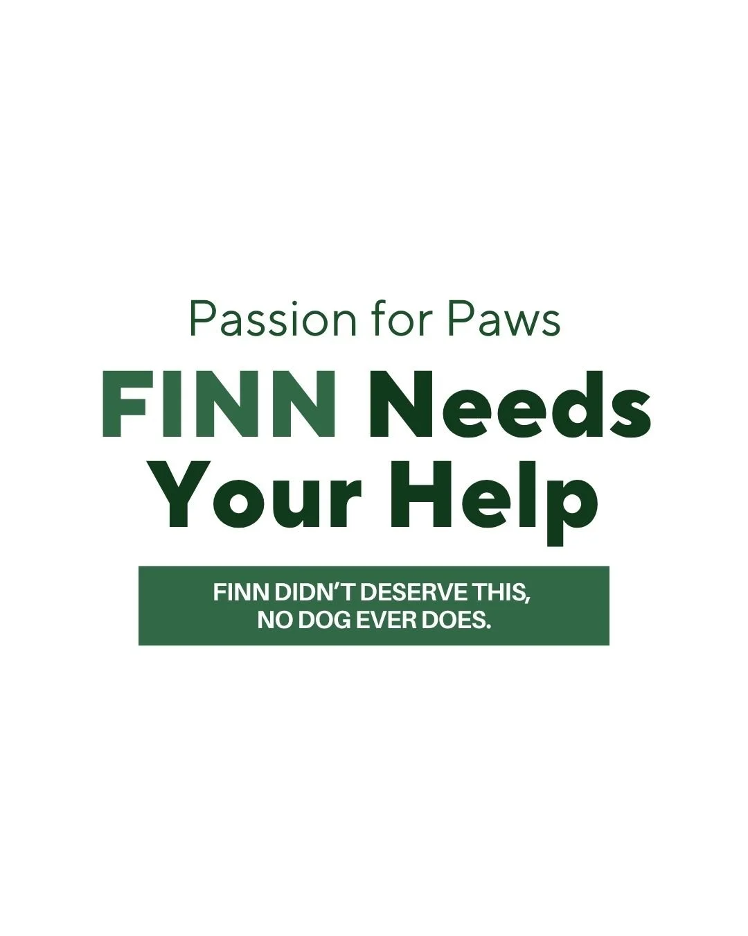 At just 13 weeks old, Finn was the victim of a violent act in his own home. He was kicked with such force that it left him with a severe fracture to his femur.

This was animal cruelty. Plain and simple.

When we got the call, there was no hesitation