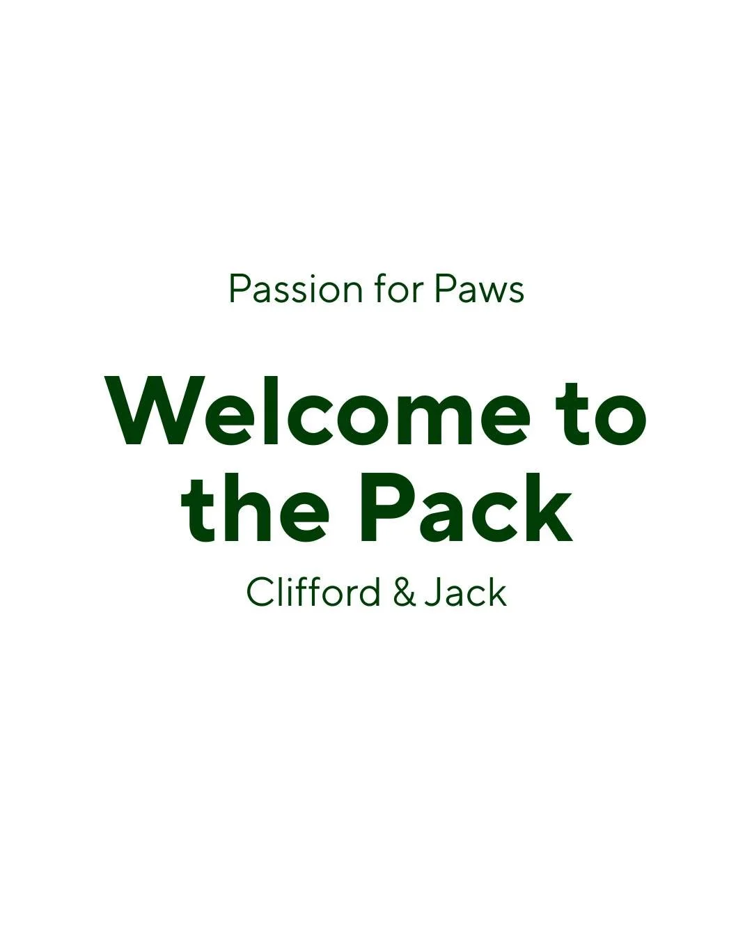 Welcoming Clifford &amp; Jack to the Passion for Paws Pack

Clifford, our sweet Goldendoodle, came to us through a rehoming

situation, while little Jack, a spunky Jack Russell, was found as a stray.

Two very different beginnings, but the same goal:
