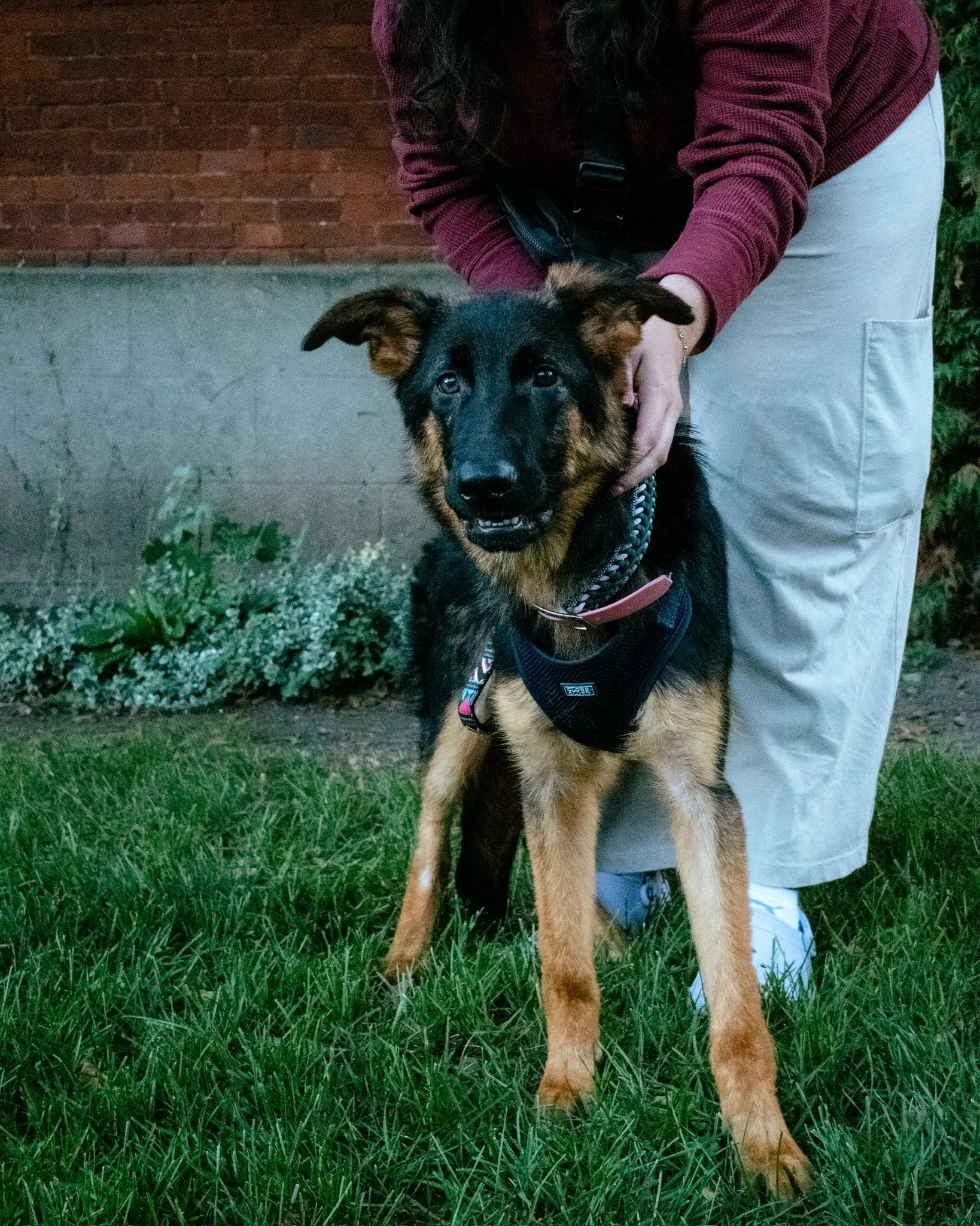 DSCF0816.jpg