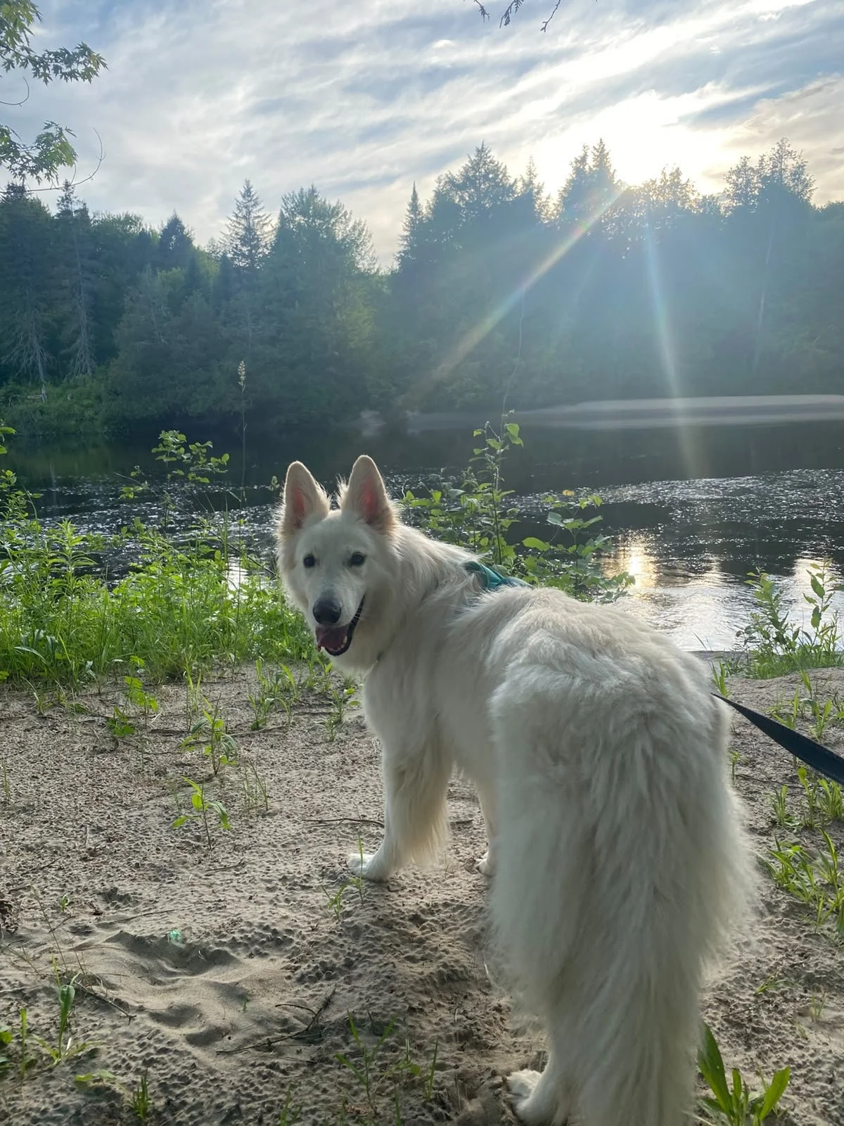 Yuki: Home Since April '26