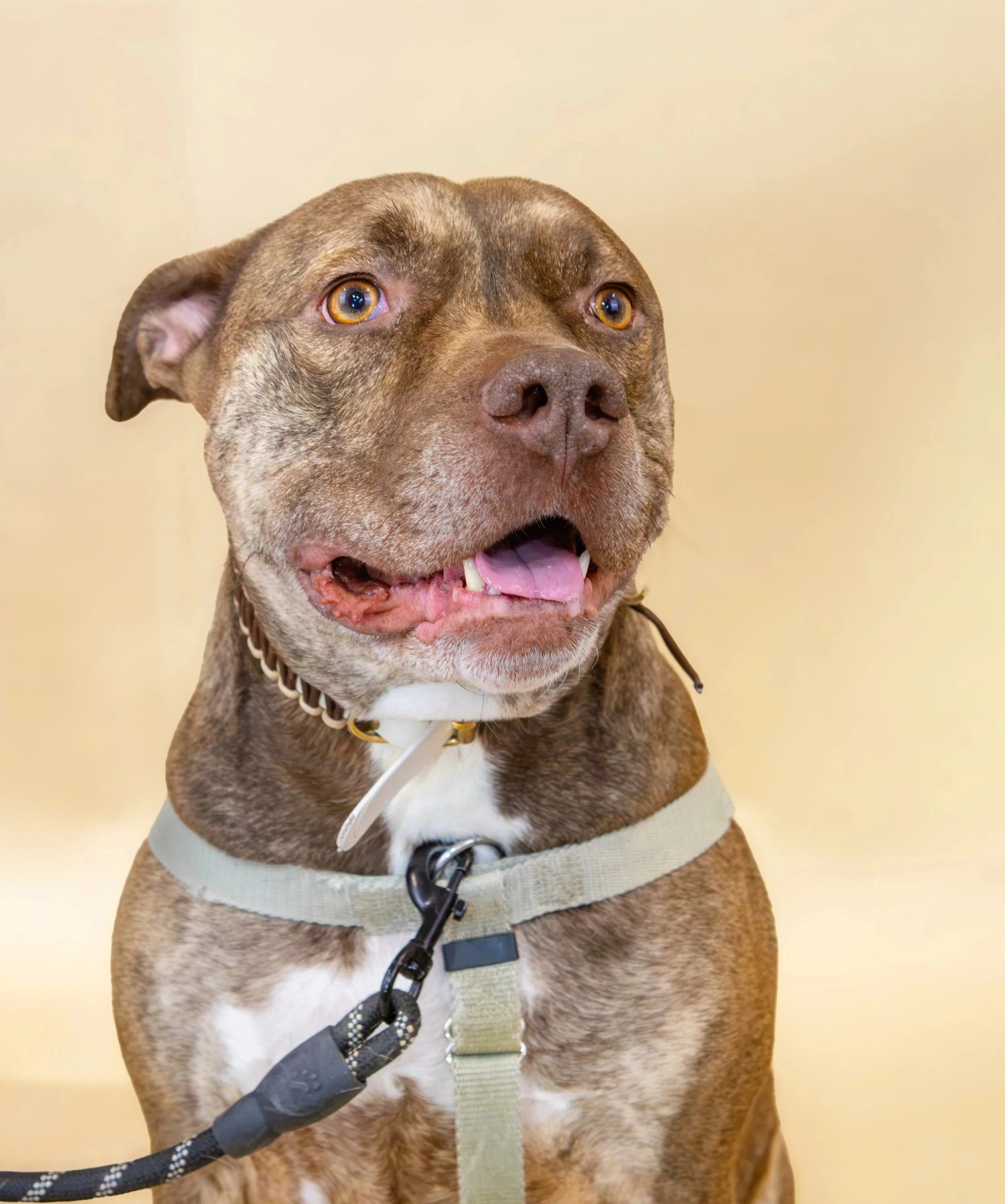 Gastby 🧞‍♂️