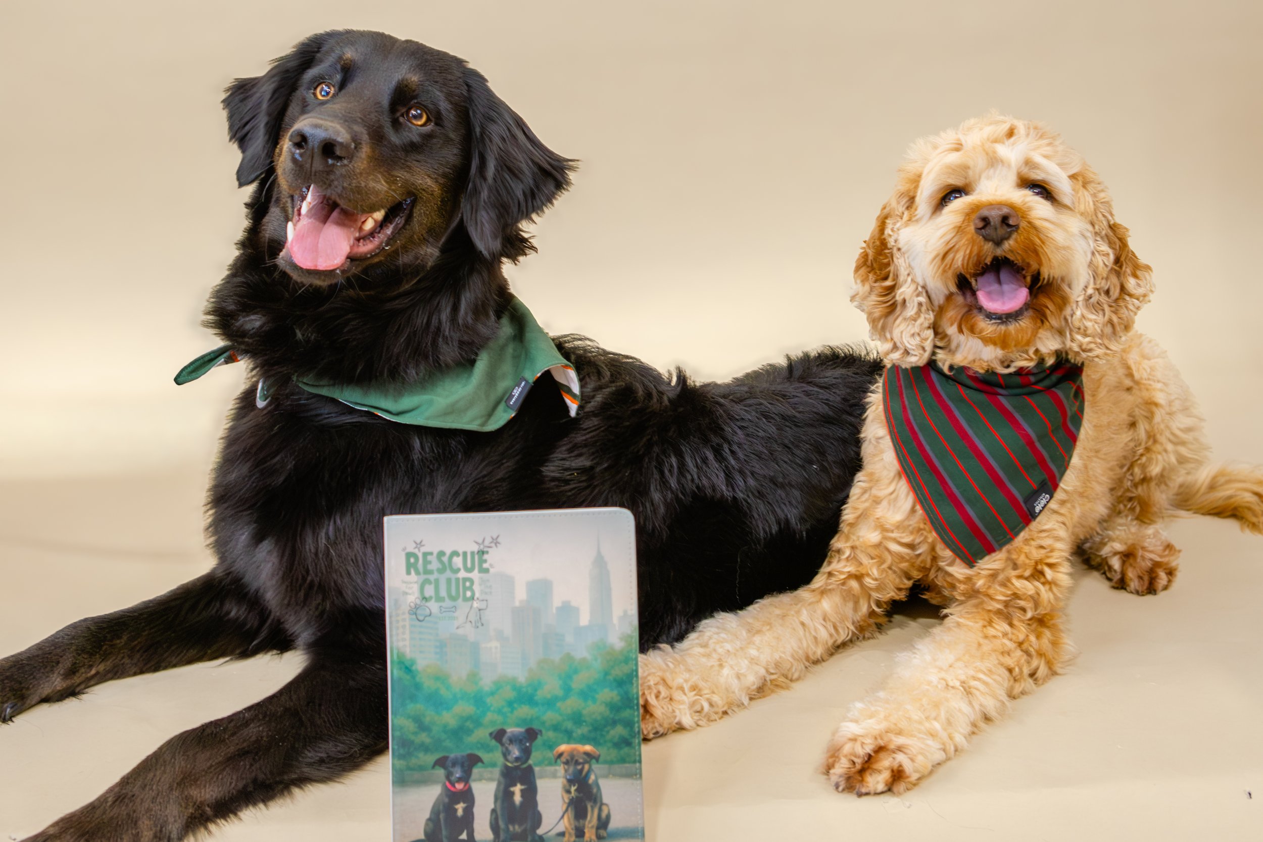 Rescue Club Notebook