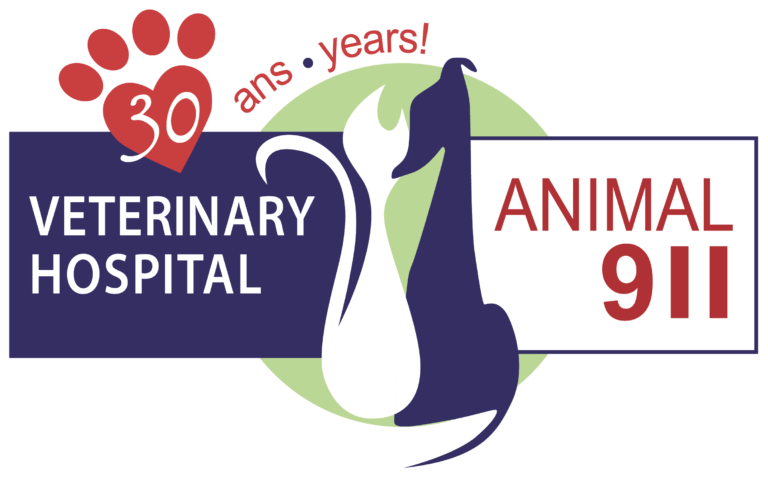 Logo-Hopital-Veterinaire-A-nimal-911-colour-PNG-768x479-1.png