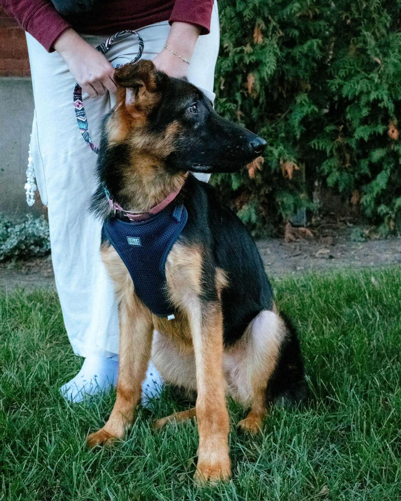 DSCF0940.jpg