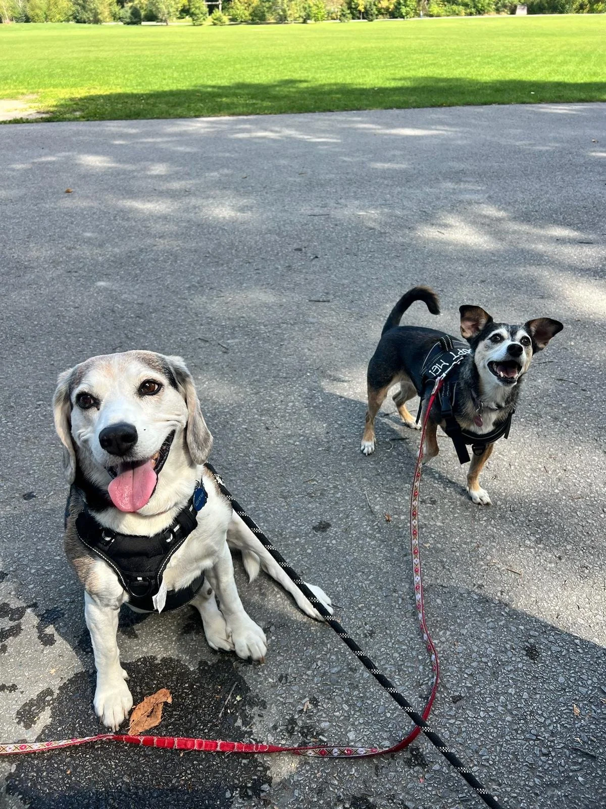 WhatsApp Image 2026-01-19 at 11.48.27 AM.jpeg