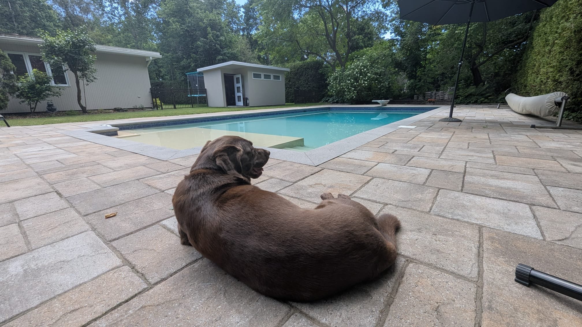 Palmer: Home Since July '26