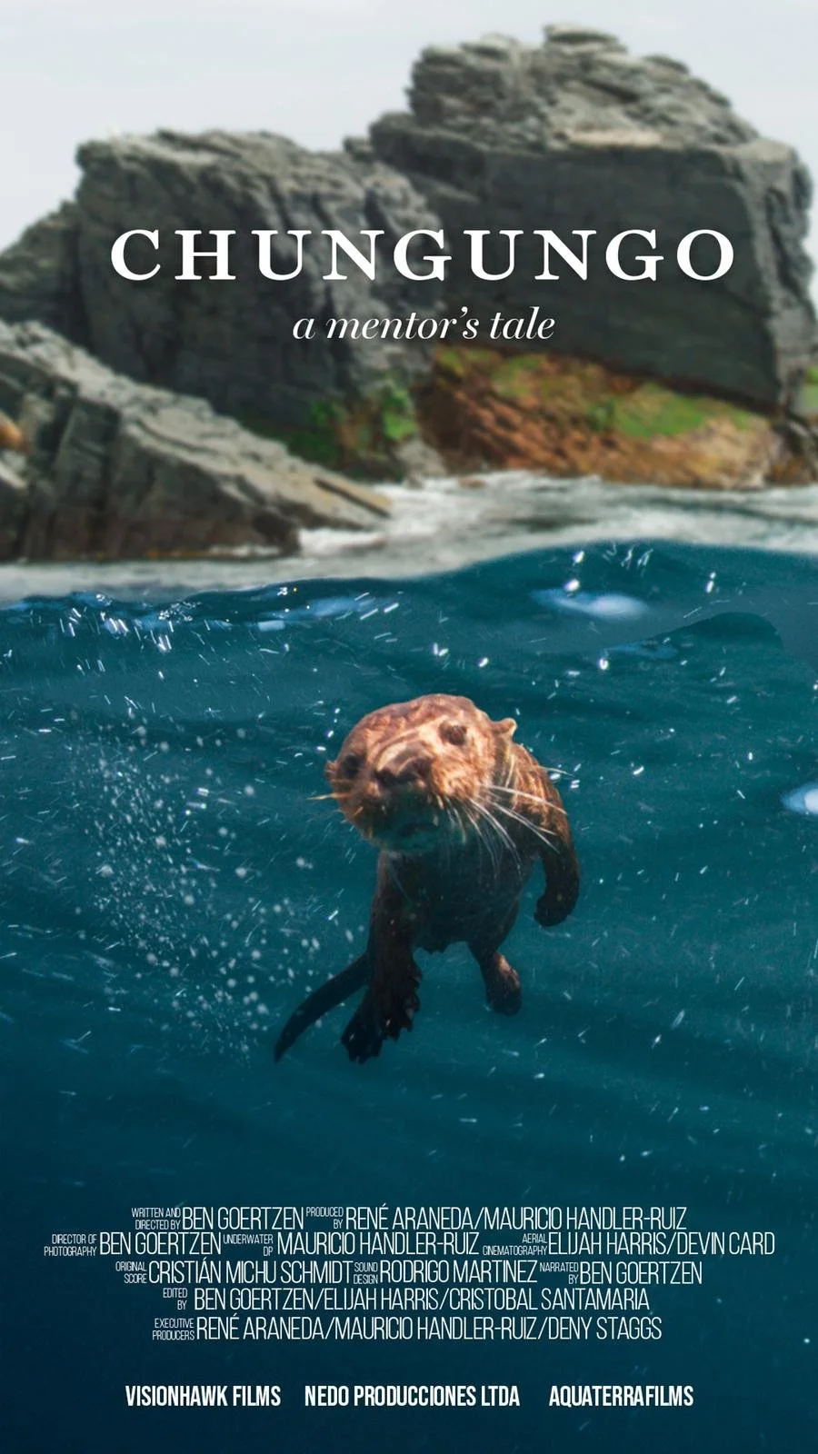 b43517ab-bcc7-43c8-8c3e-e6842cc431ec copy 2.JPG