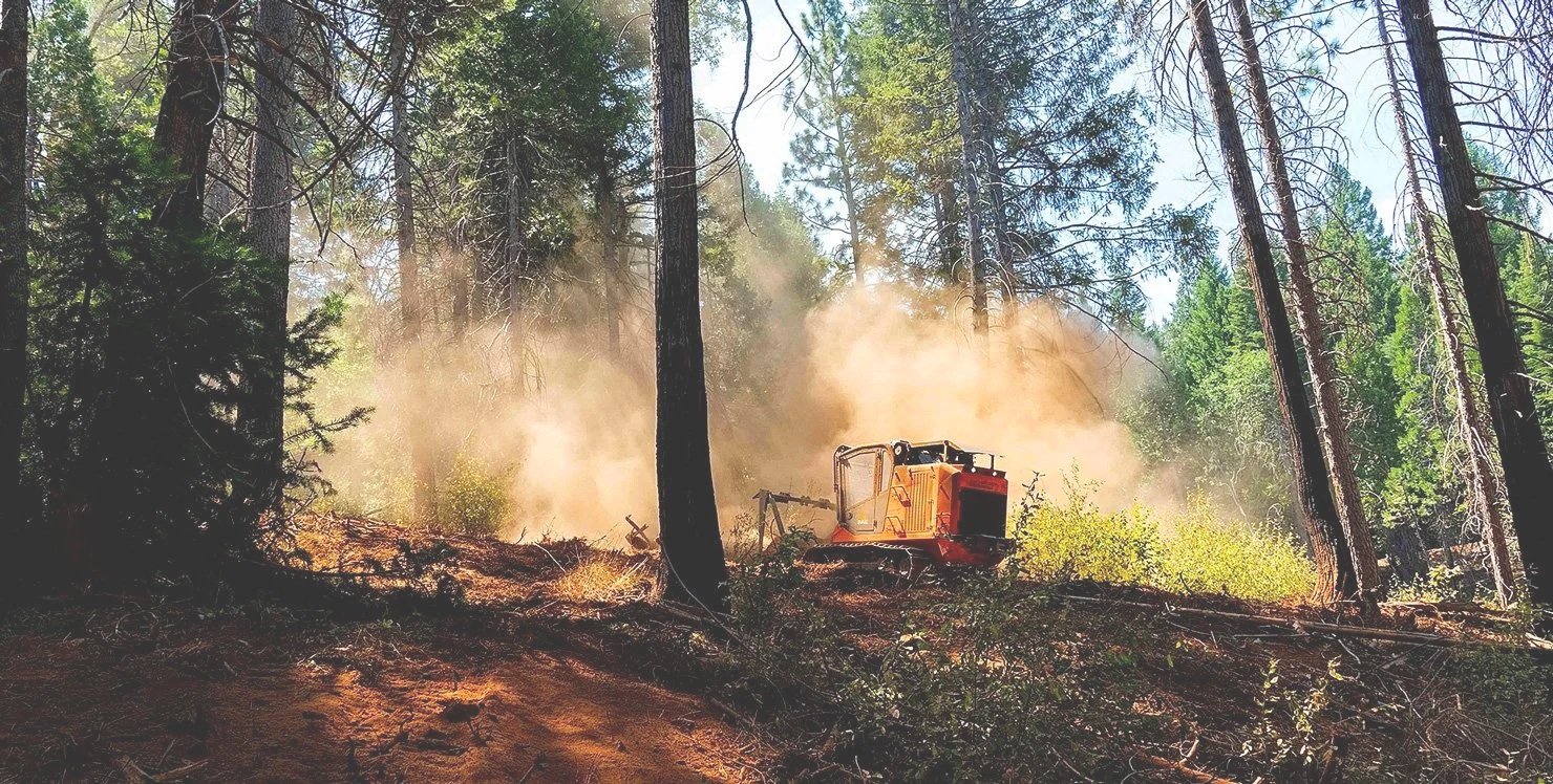 Forestry and Land Clearing 