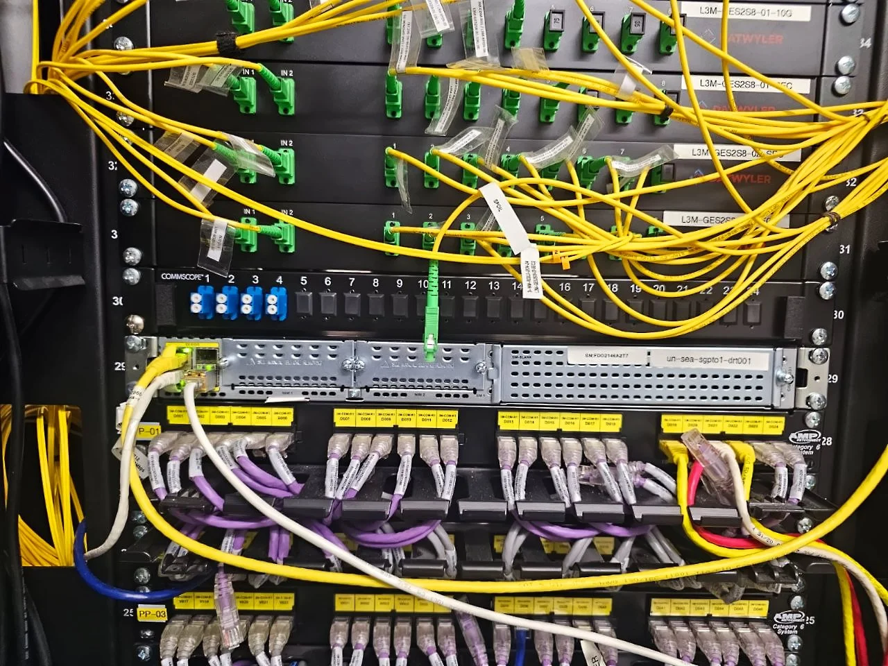 A network patch panel with numerous yellow, purple, black, white, and green cables connected to it.