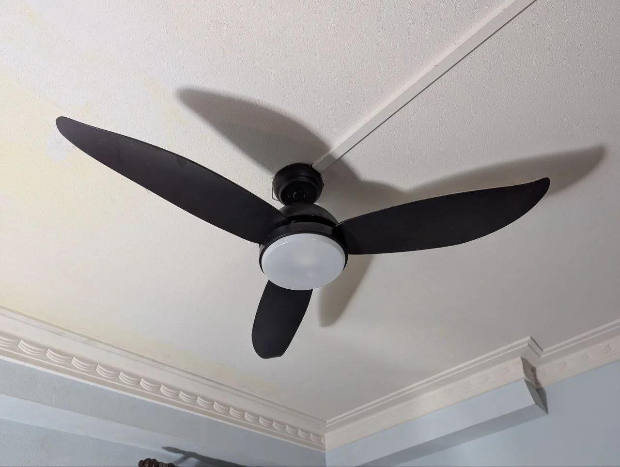 A black ceiling fan with three blades and a white light fixture in the center, mounted on a white ceiling with crown molding.