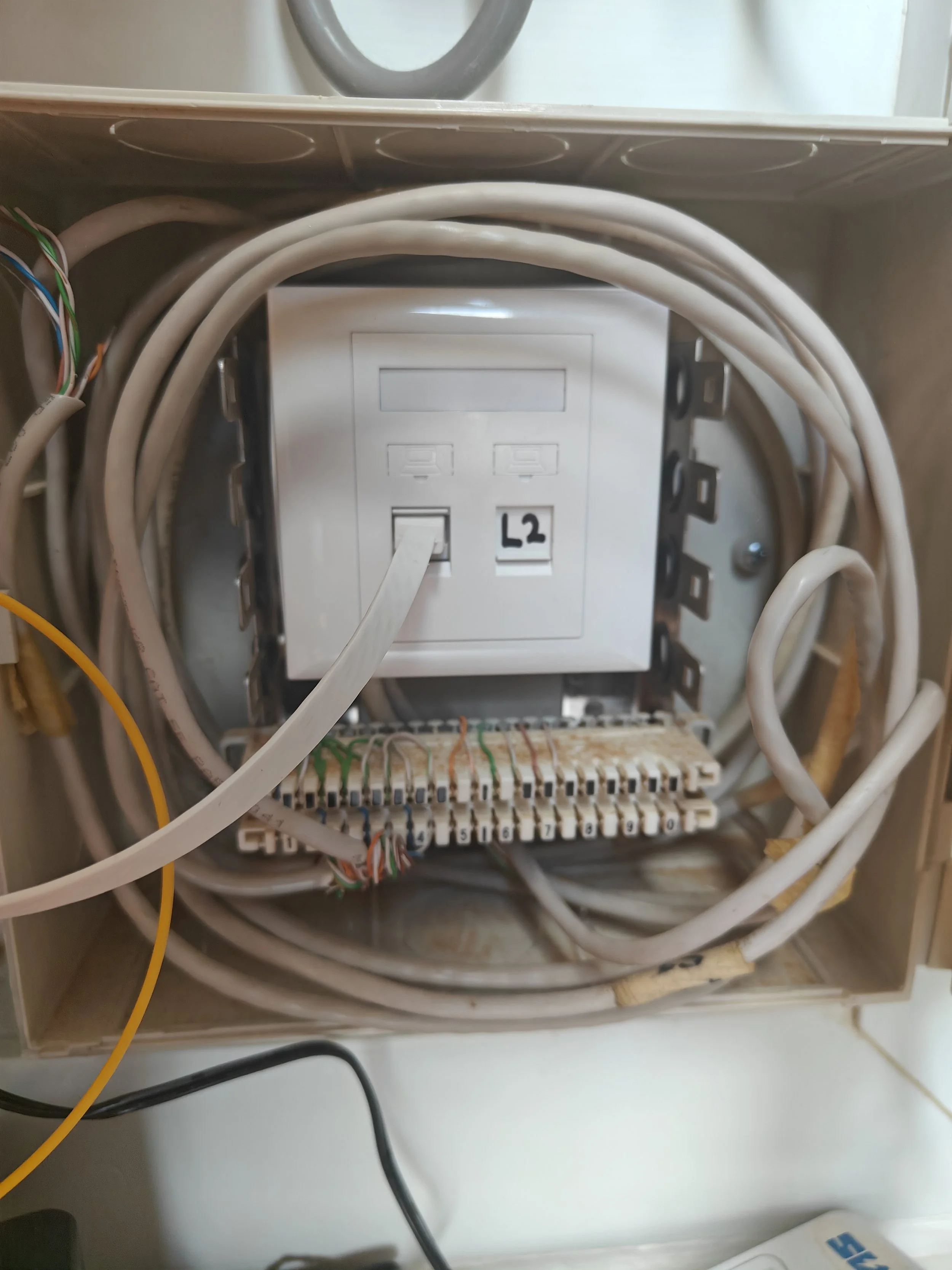 Close-up of an electrical panel or junction box with multiple wires and a switch labeled 'L2'.