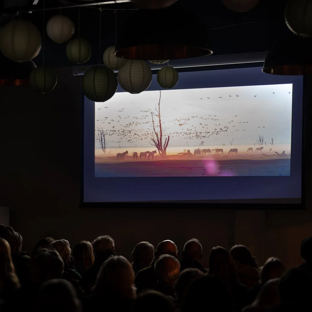 A picture of a film screening