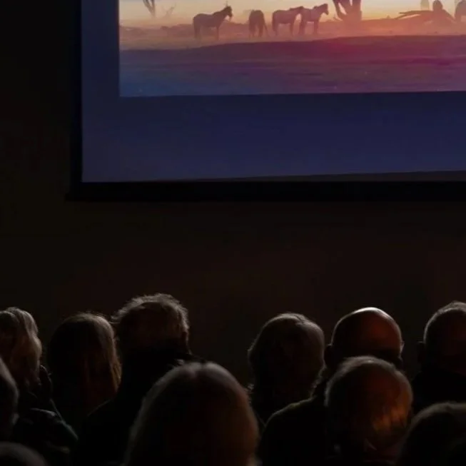 Image of a swift - Tenterden Wildlife are donating to swift boxes