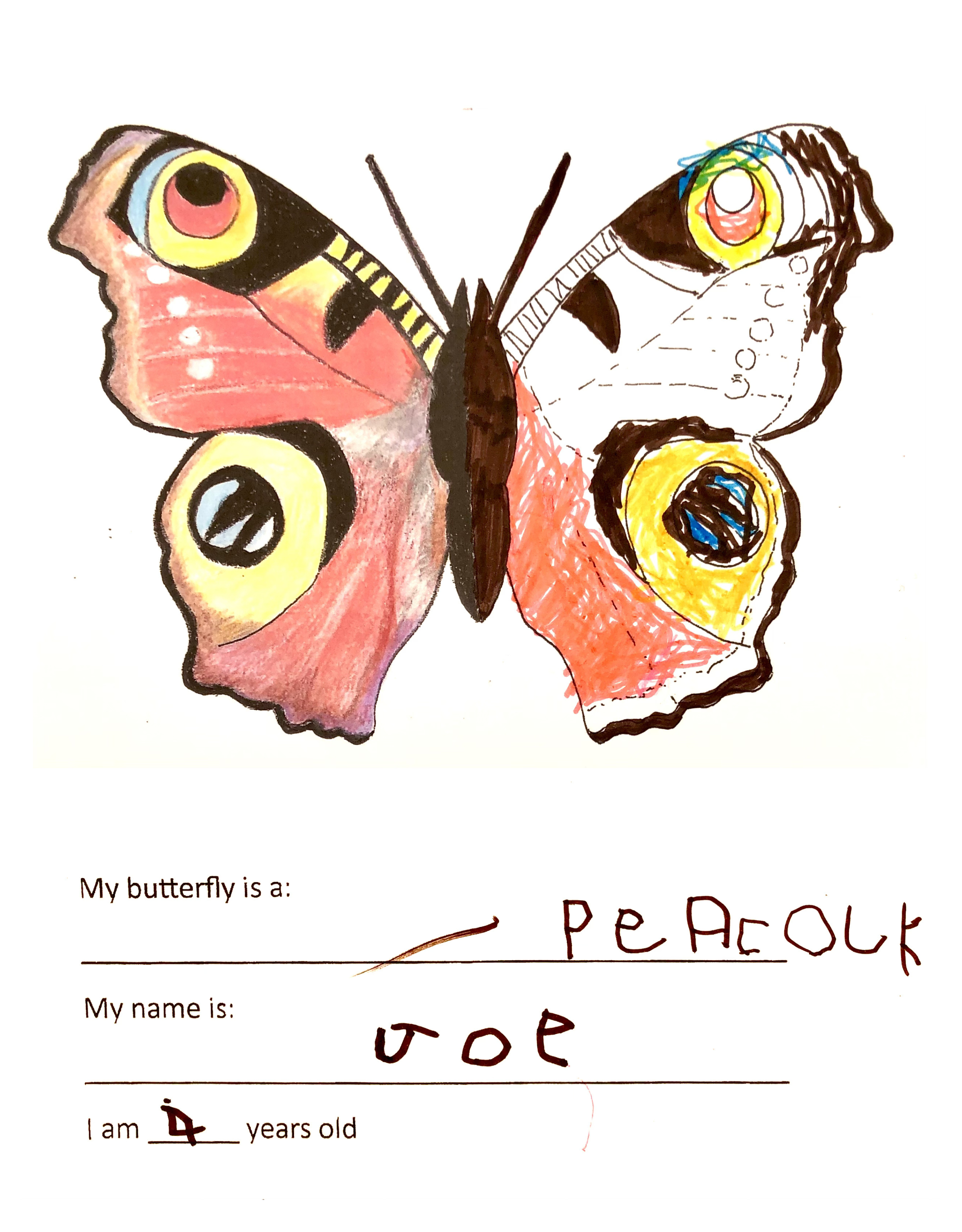 Kid's butterfly colouring 