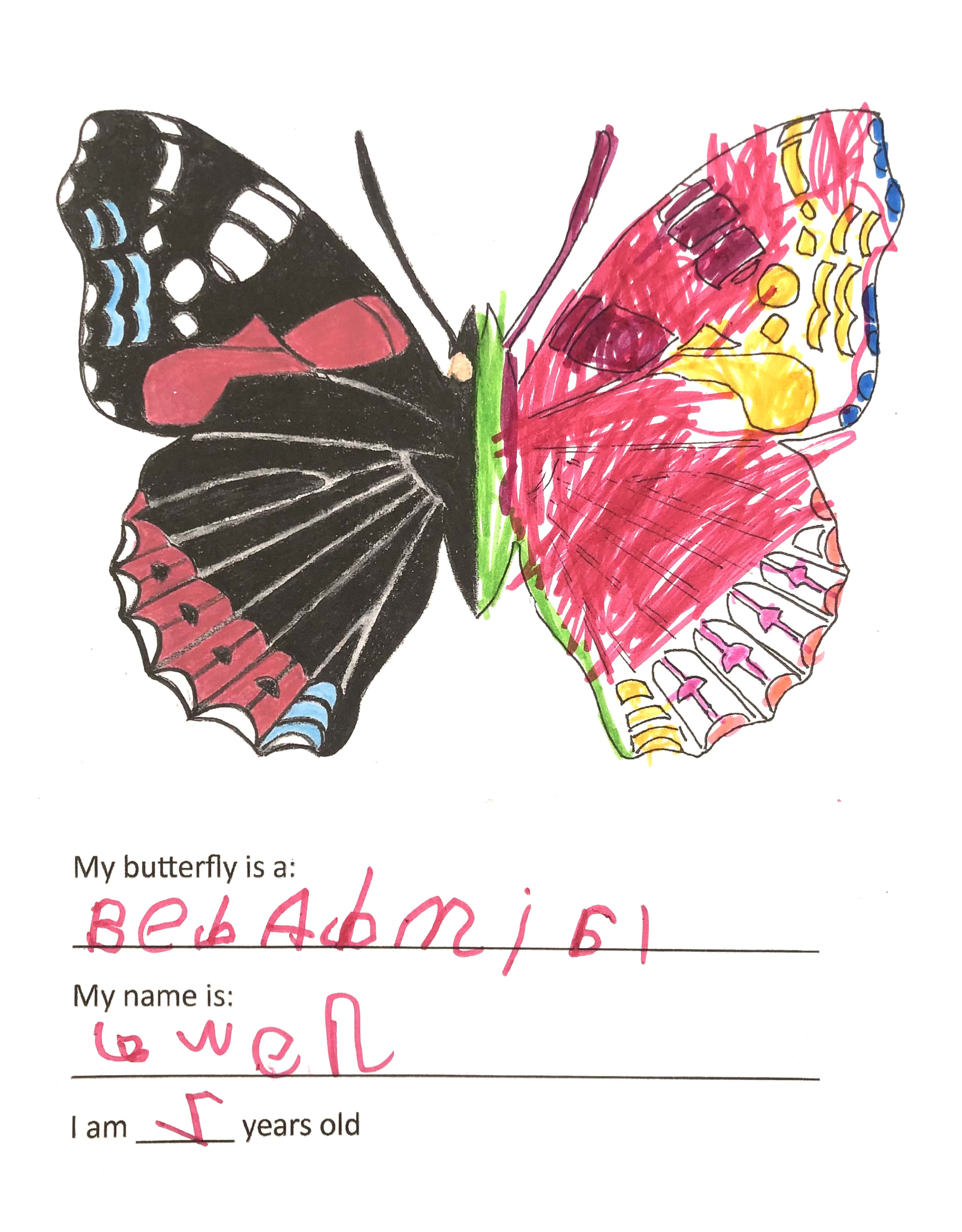 Kid's butterfly colouring 