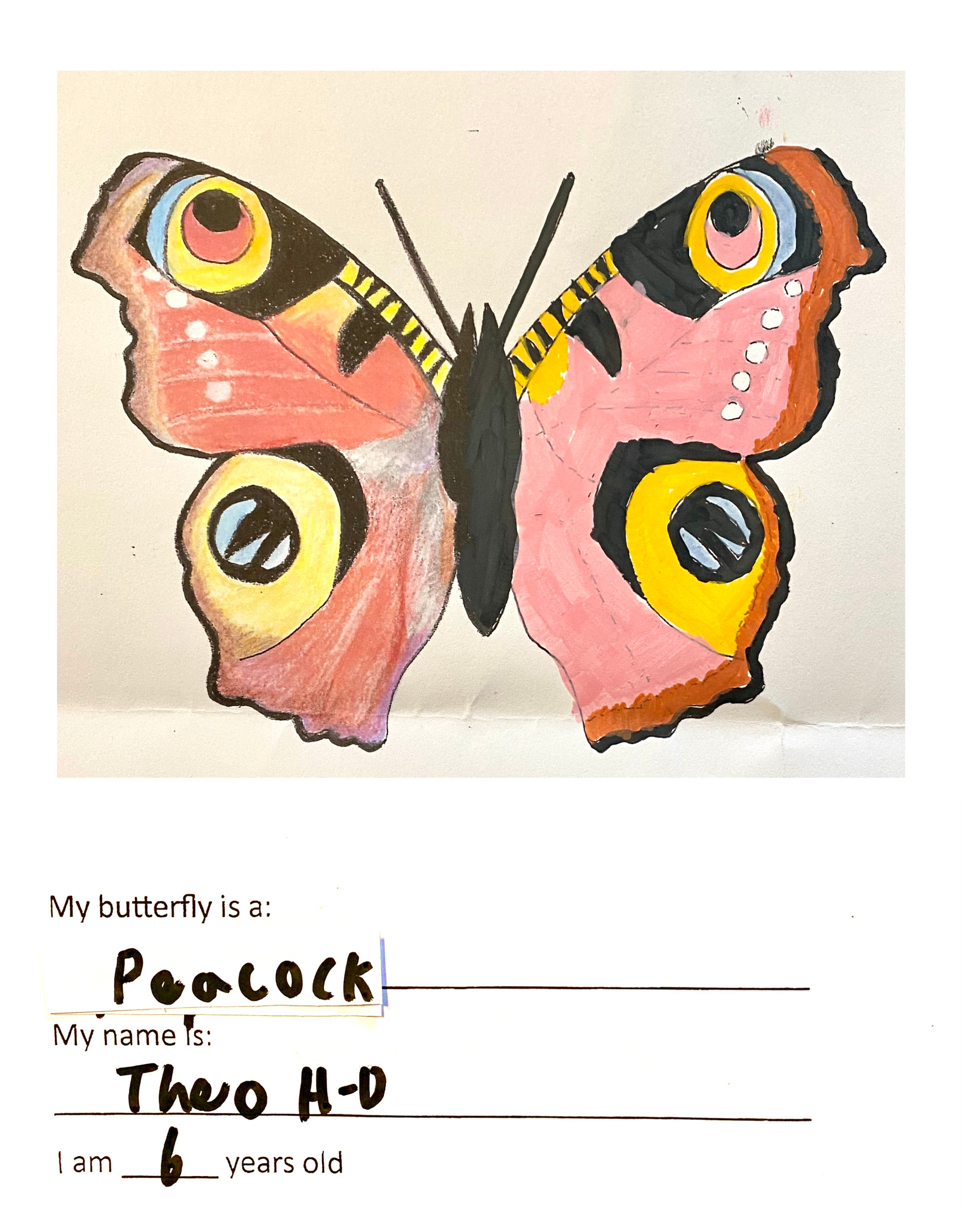Child's picture of a butterfly