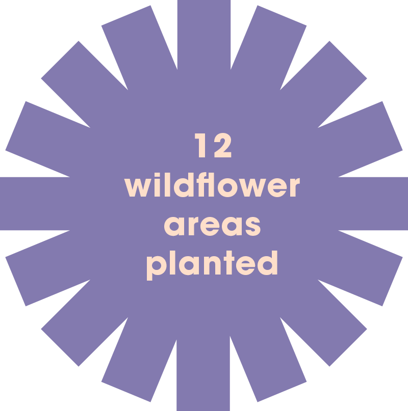 flower stats 5.png