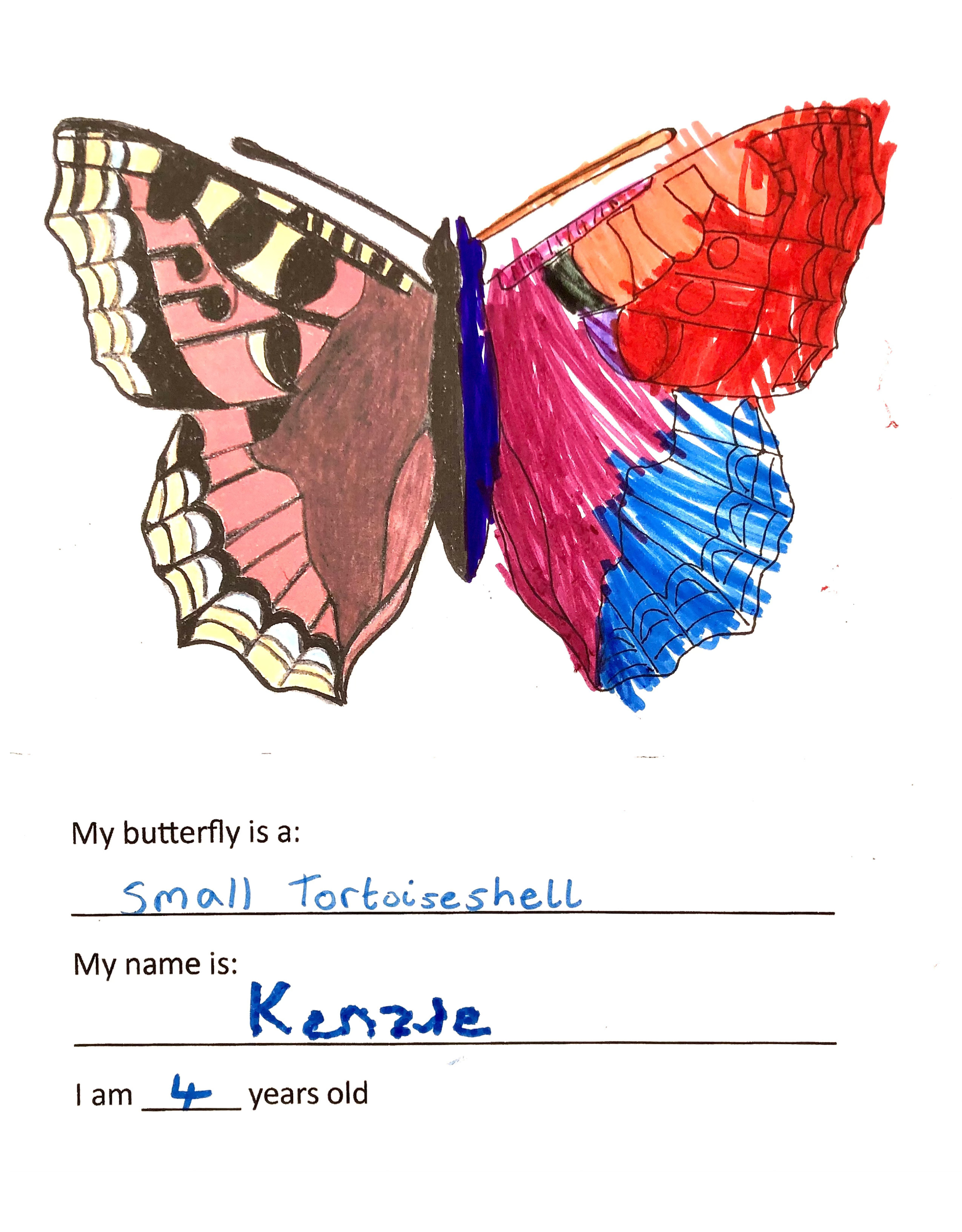 Kid's butterfly colouring 