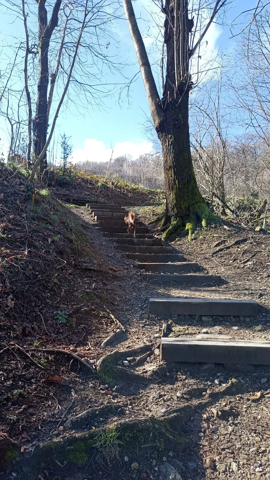 ALLENA LE GAMBE: UNA ALLA VOLTA!