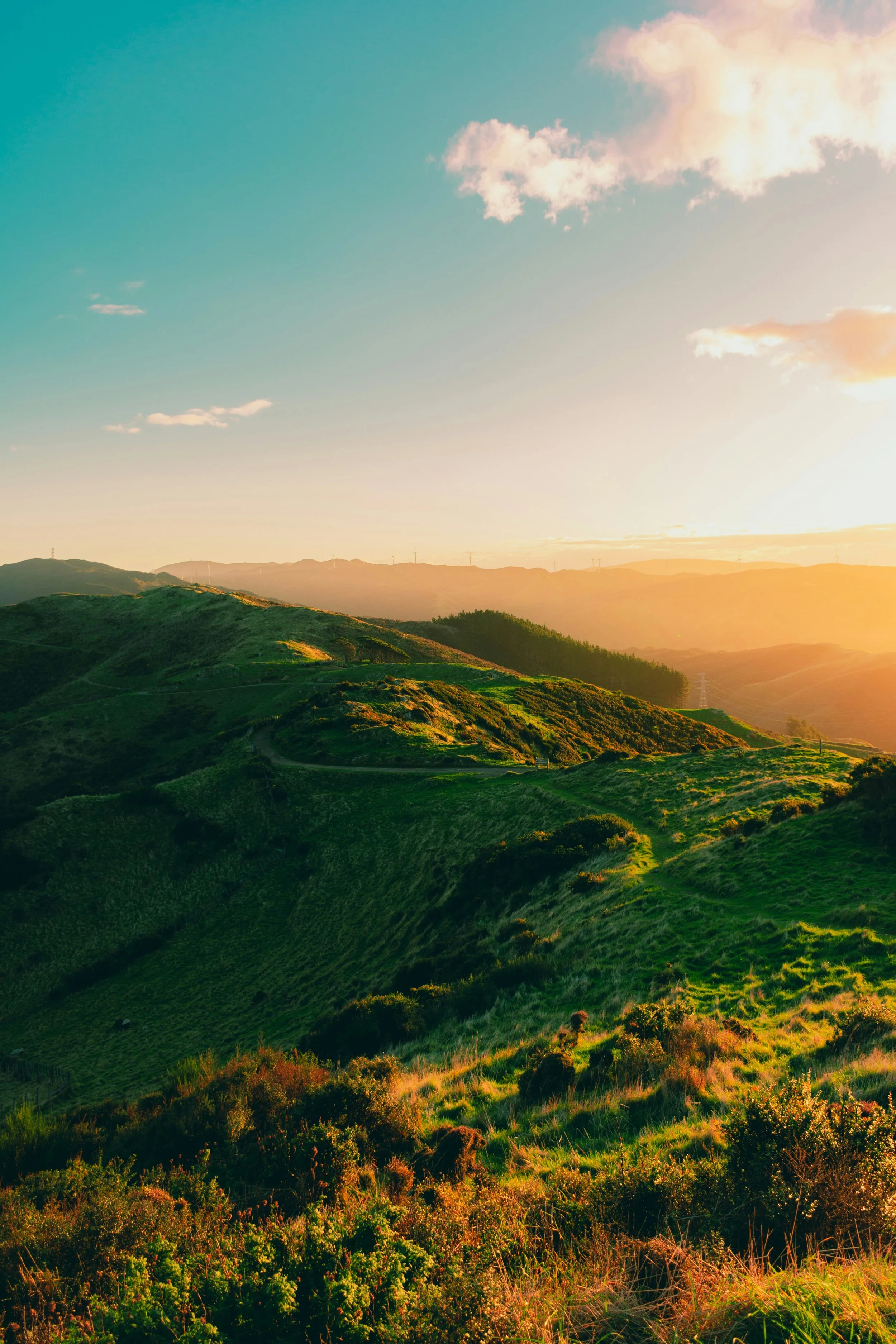 new zealand landscape for us expansion workshop