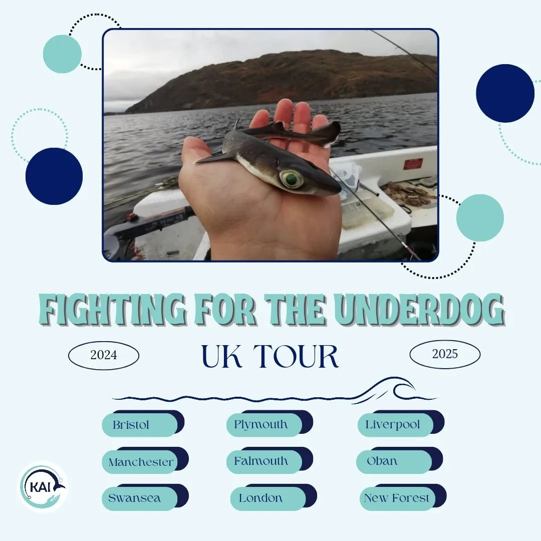 🚐 We're going on tour!
‼️Not able to make the premiere of our film in Bristol on October 11th? Do not fear! We're hitting the road to bring 'Fighting For The Underdog' to you.
📍As you can see, we've got a few places lined up, but we're not stopping