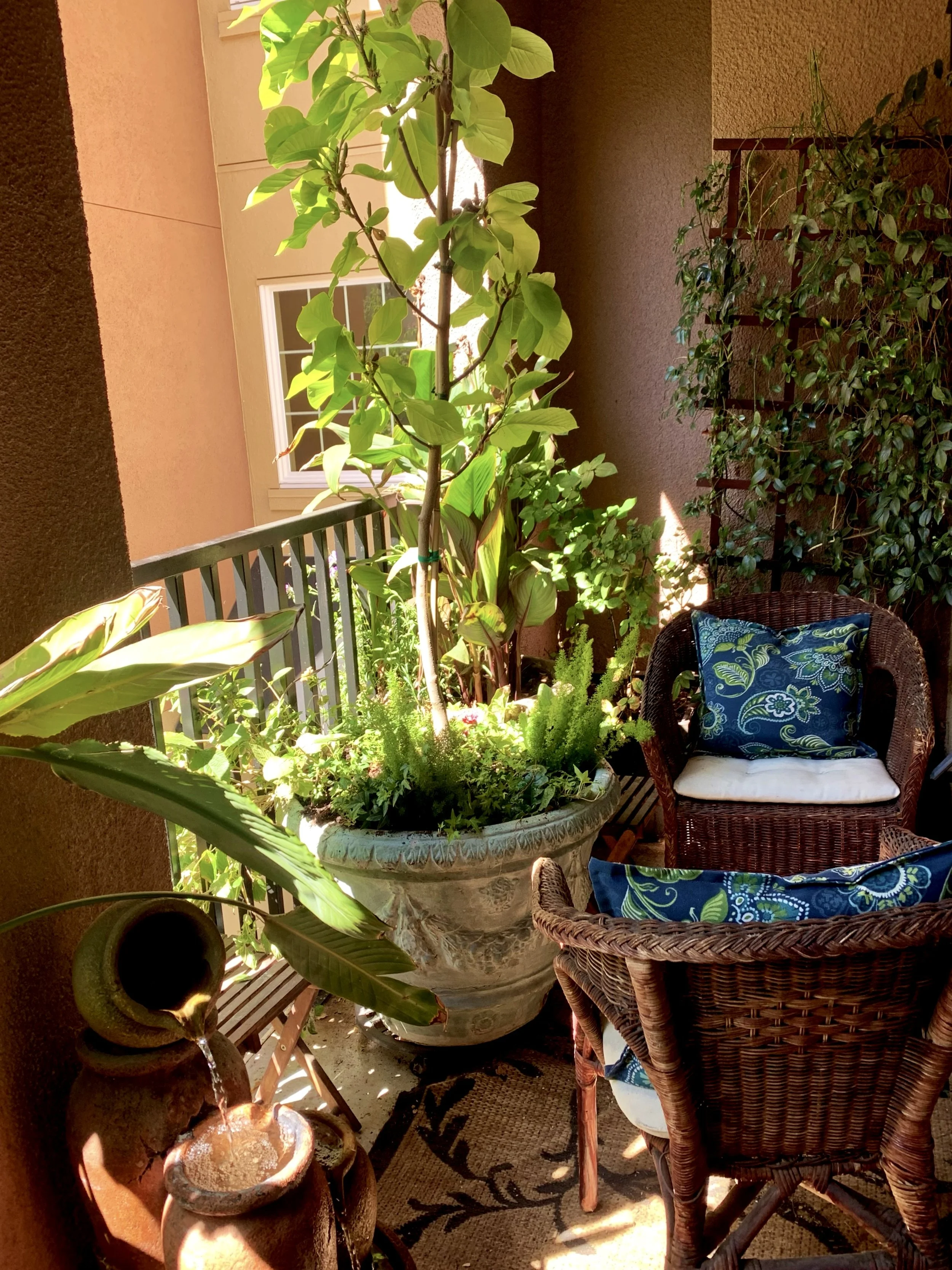 IMG_0984 Copy(1).jpg