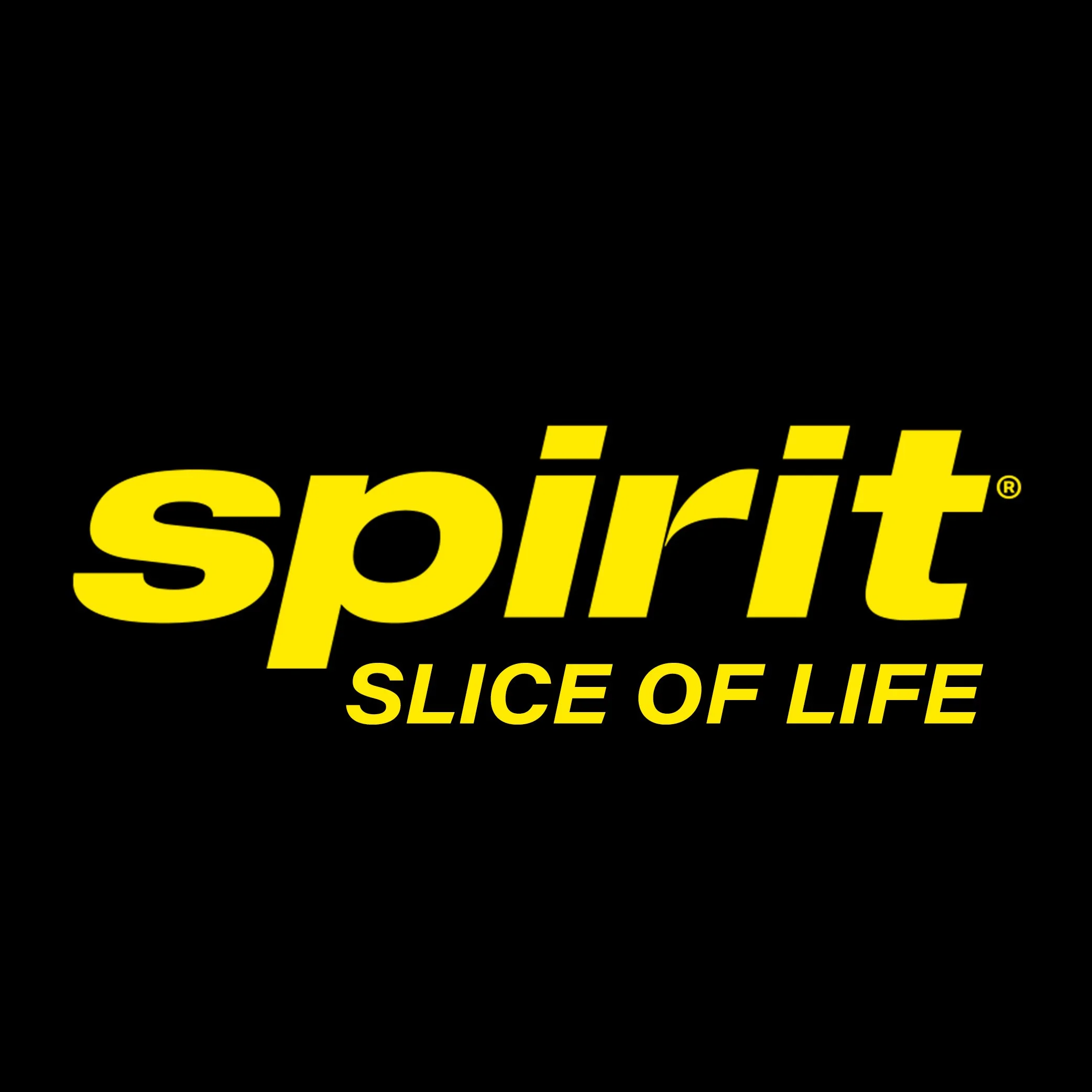 Spirit Slice of Life
