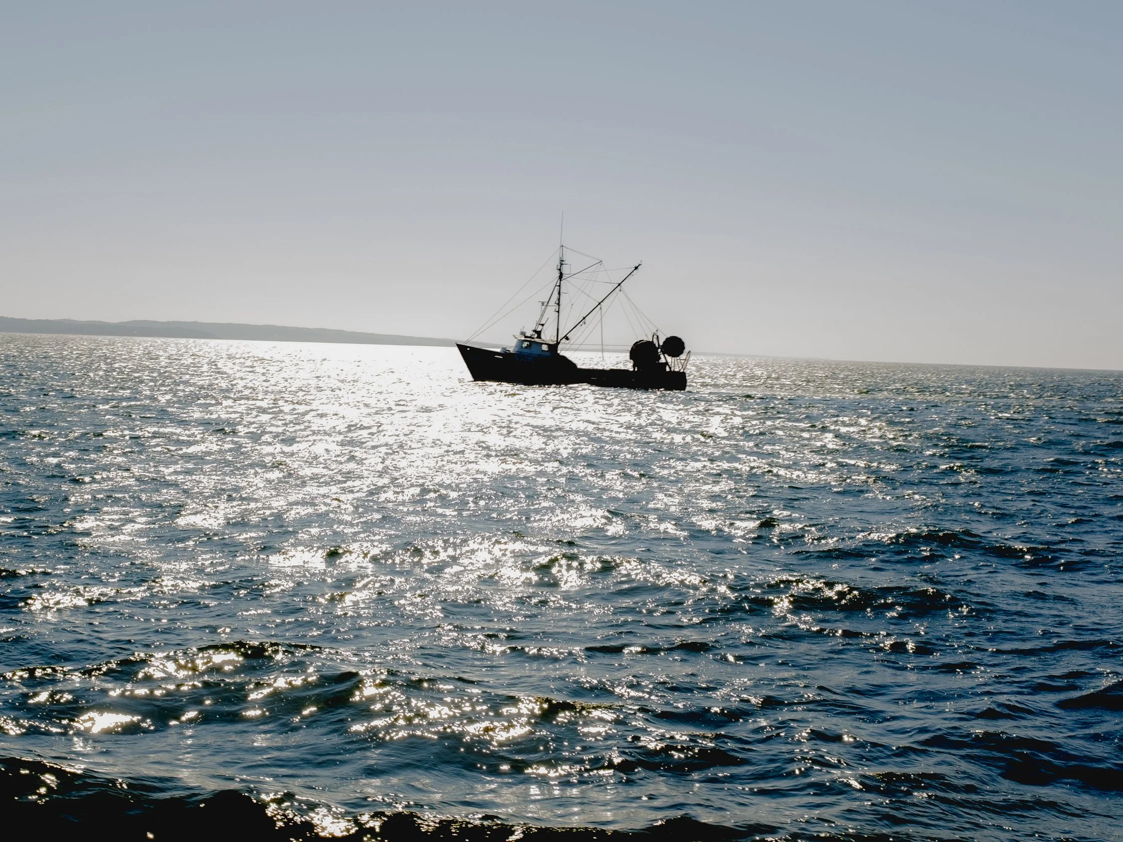 _DSF4237_Edits copy.jpg