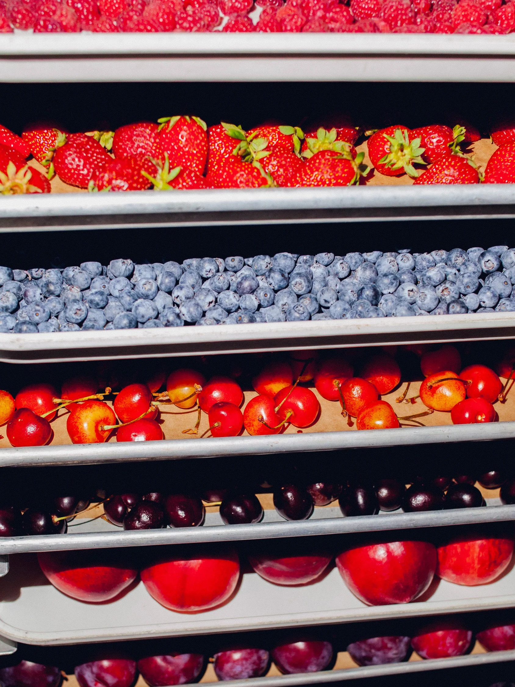 commercial-food-photographer-san-francisco-530.jpg