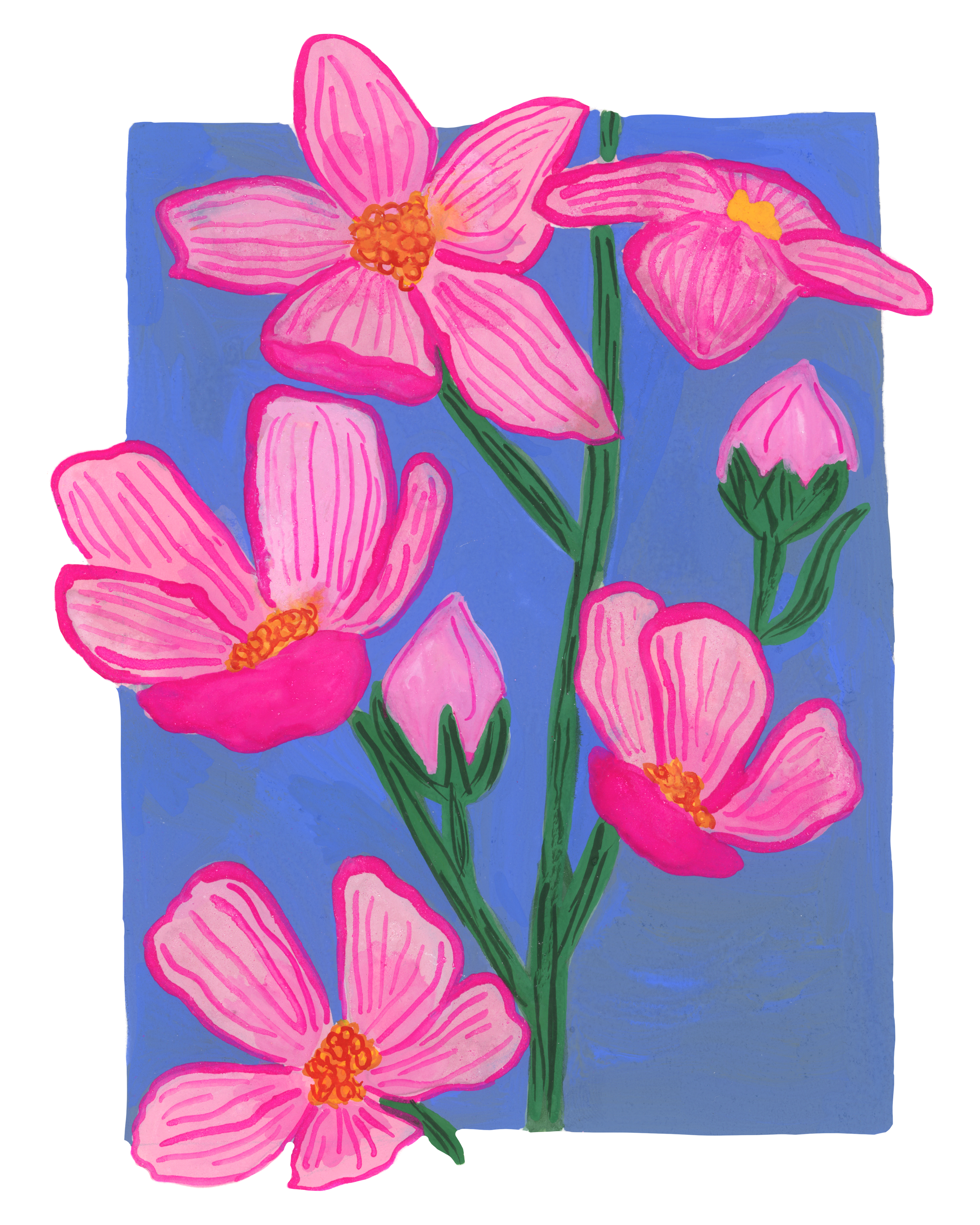 Pink Wildflower Print.png