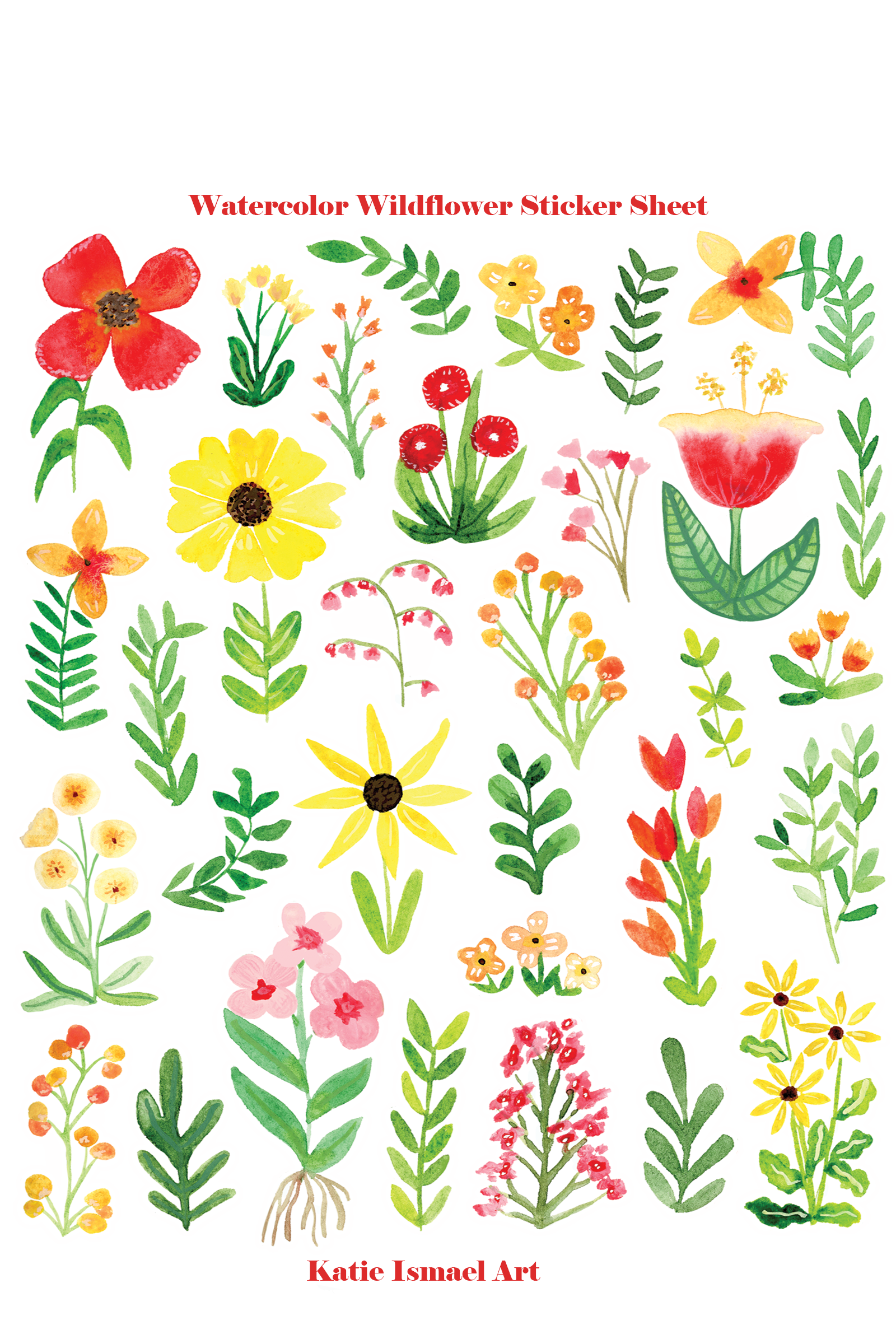 wildflower sheet ismael.png