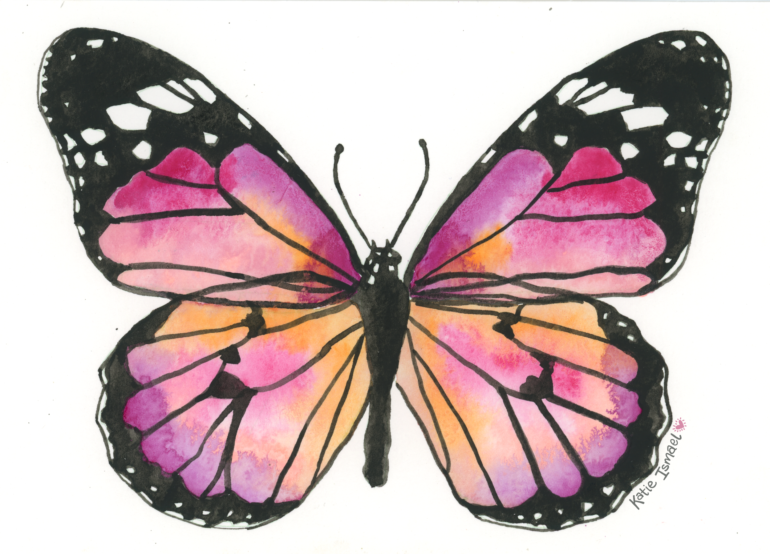 PK002butterflyexample.png