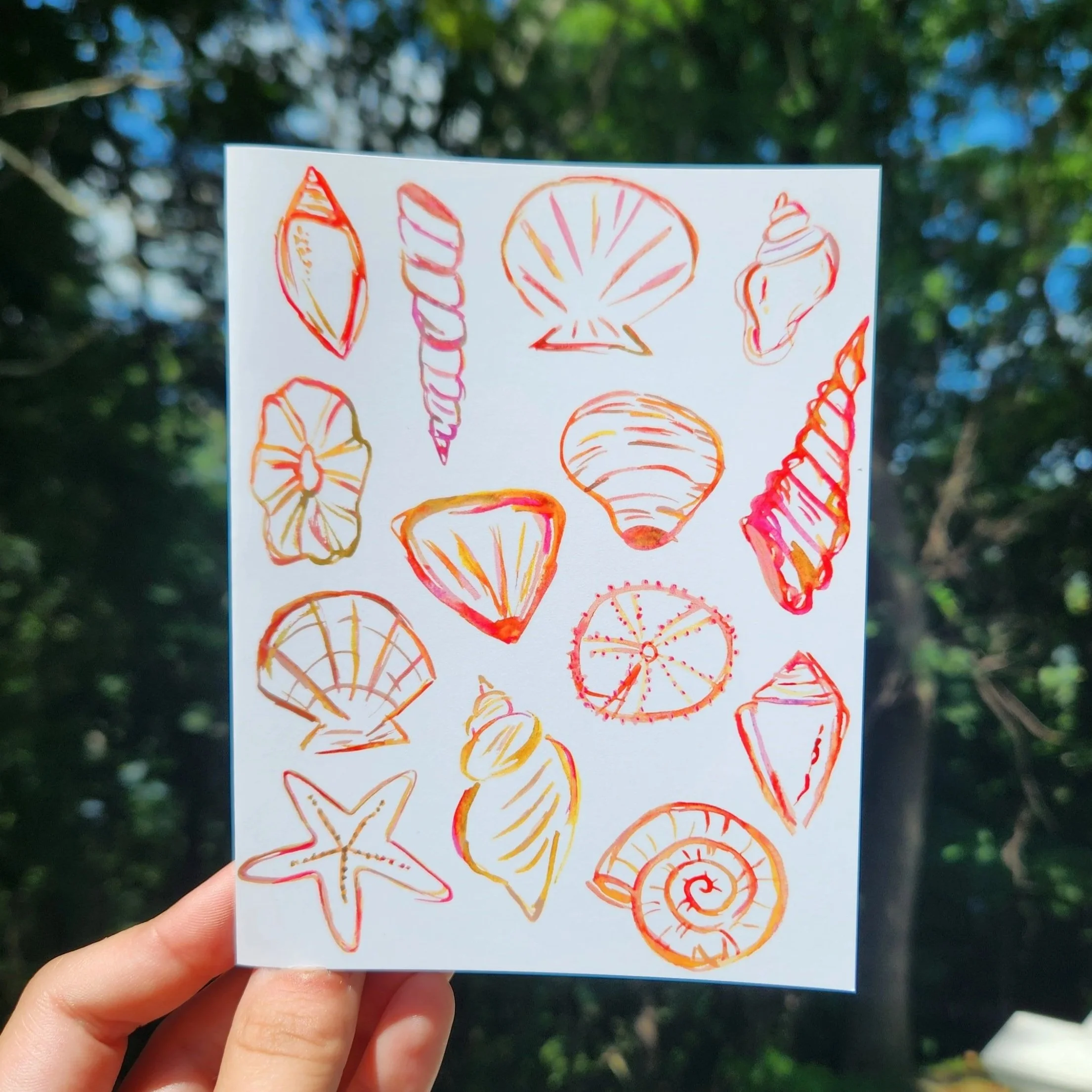 Watercolor Seashell Greeting Card, Summer Thank You Card