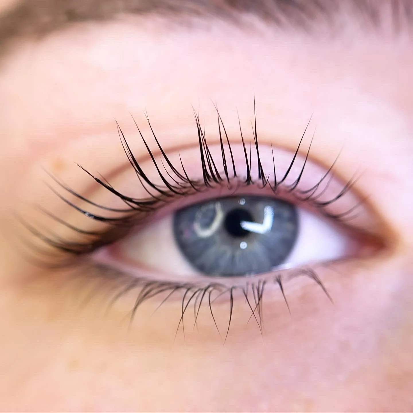 image_6483441 (4).JPG