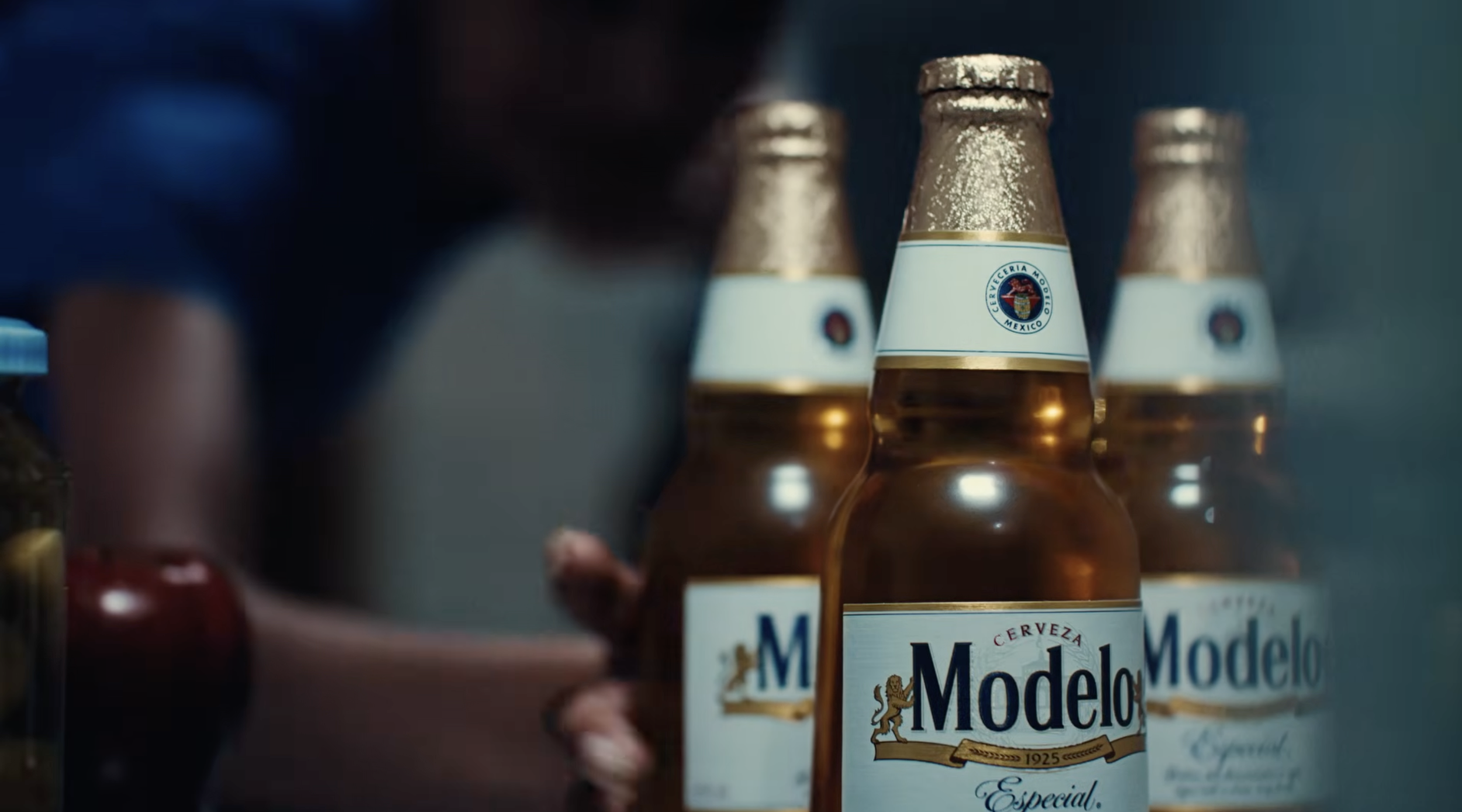 THE MODELO YOU EARNED