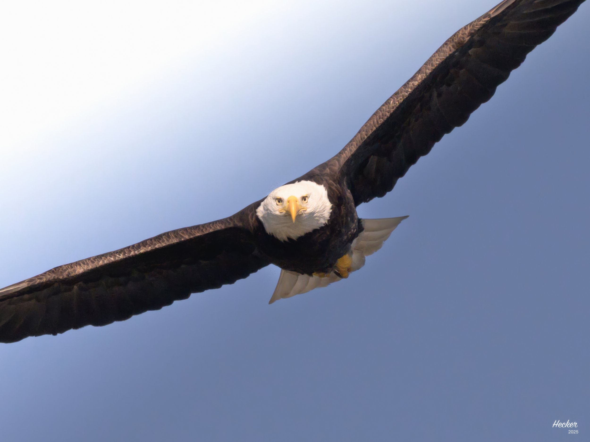 Direct Approach,
Charleston, South Carolina