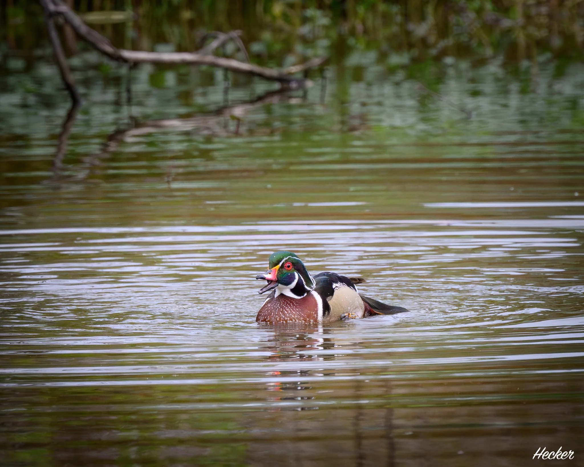 Happy,
Charleston, South Carolina