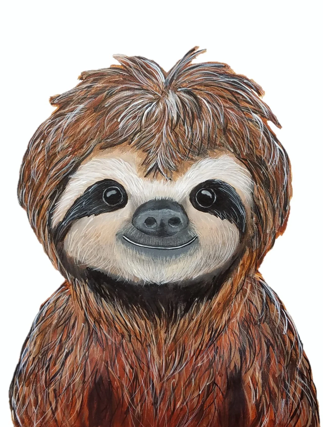 Sloth.jpg
