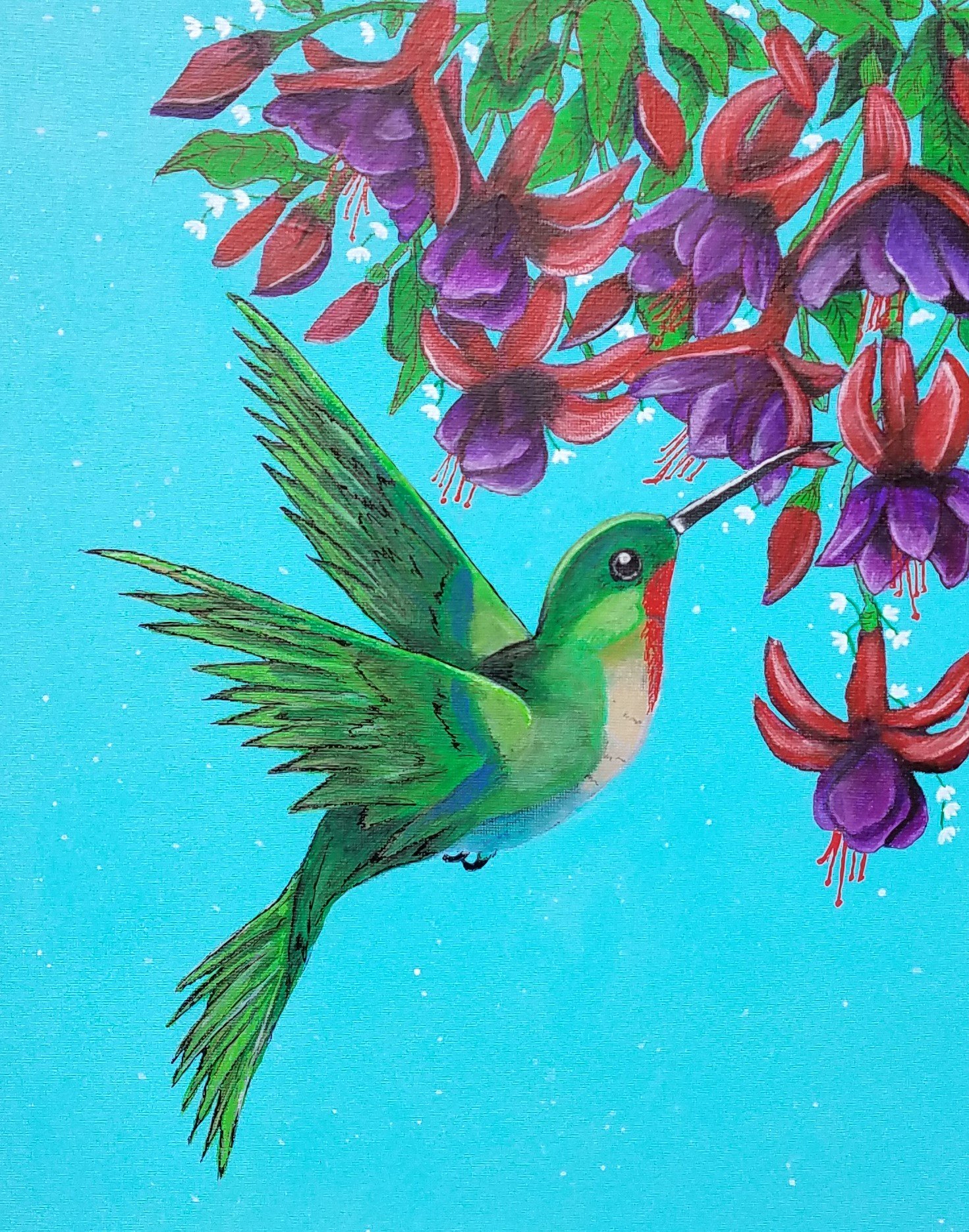 hummingbird.jpg