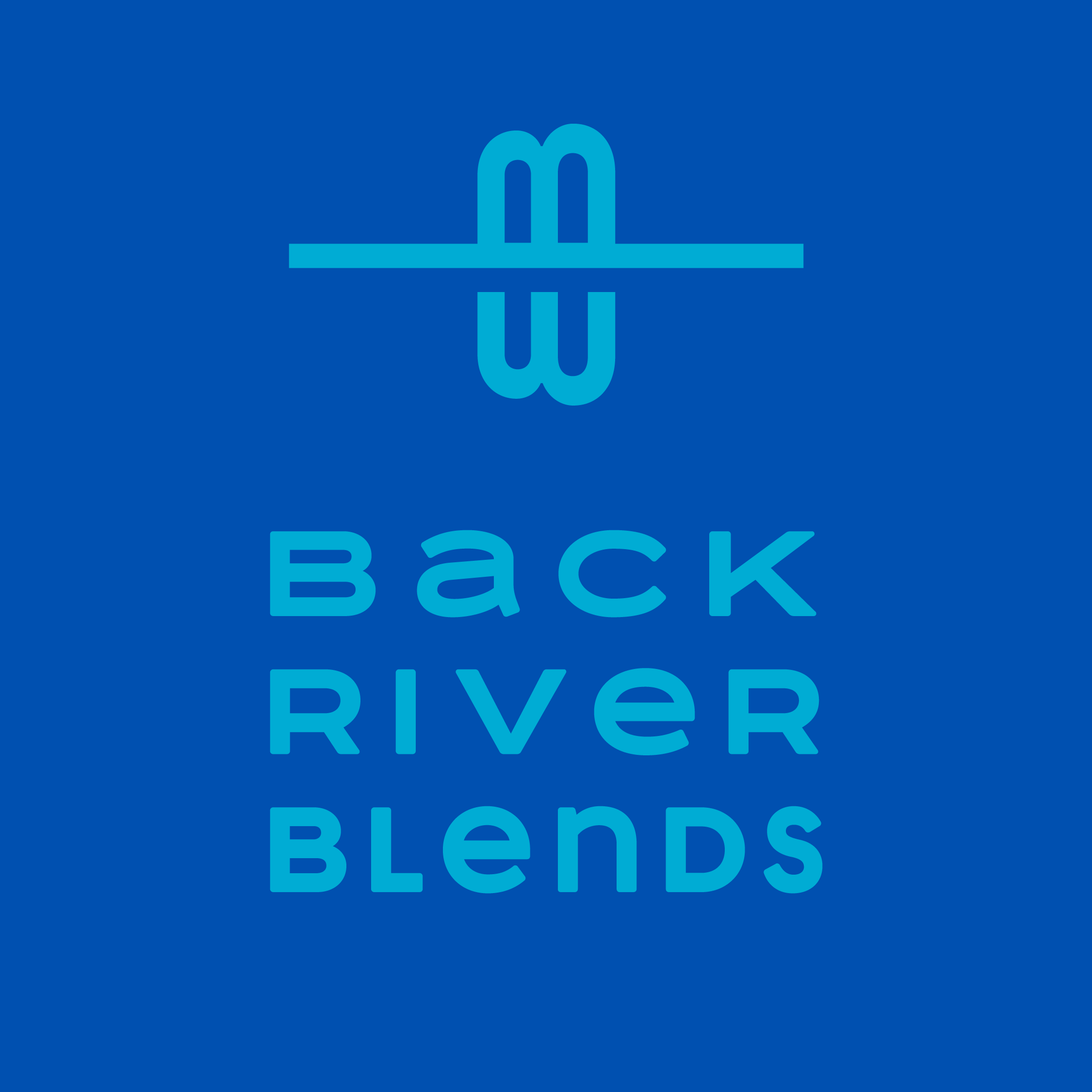 backriver-logo.png