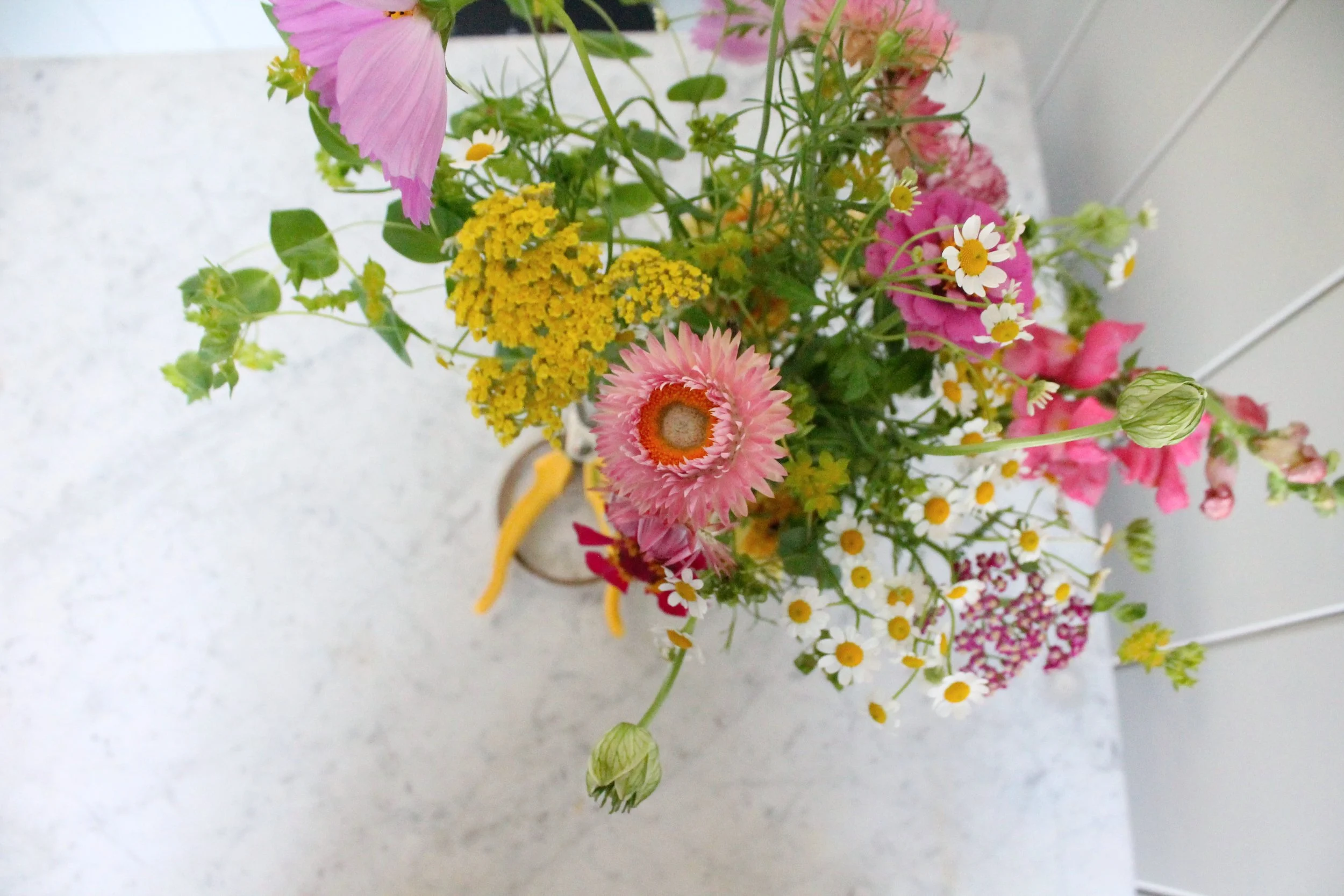 Tezza-6100_Original 2.jpg