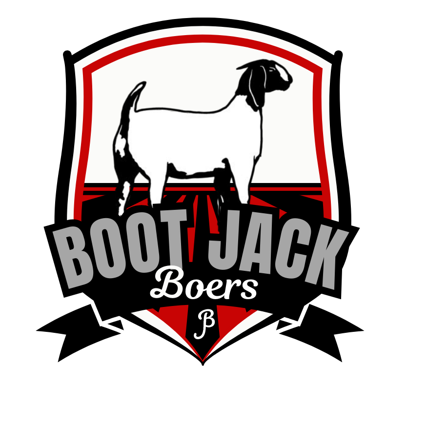 Boot Jack Boers