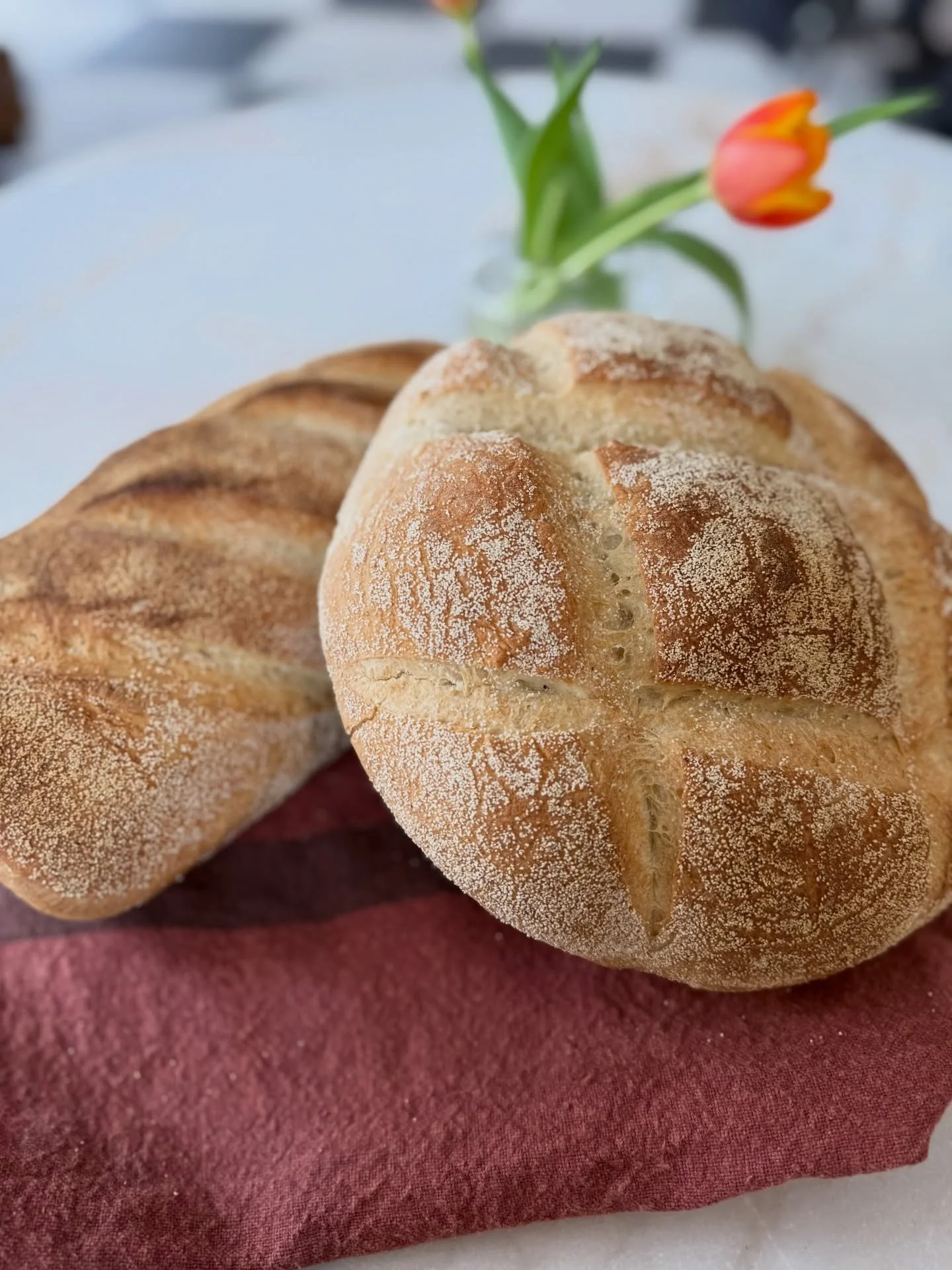 Now in the shop: Calabrese loaf 🍞

From the bakery at Cheese Boutique, this crusty white loaf is rolled in semolina flour with a beautiful golden crust and soft interior

Perfect for tearing alongside pasta, soaking up tomato sauce (scarpetta), dipp