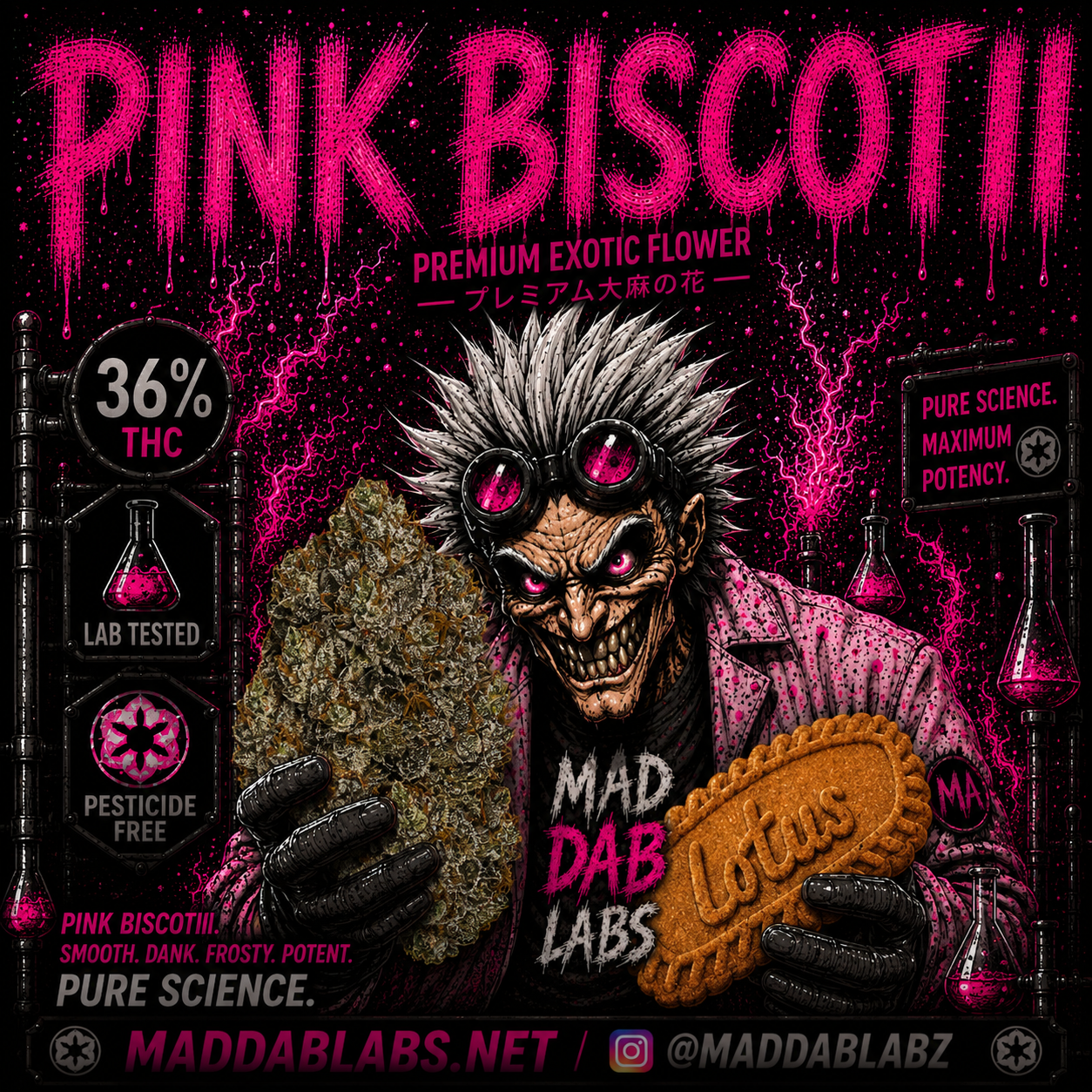 PINK BISCOTII🔥🔥🔥🔥🔥