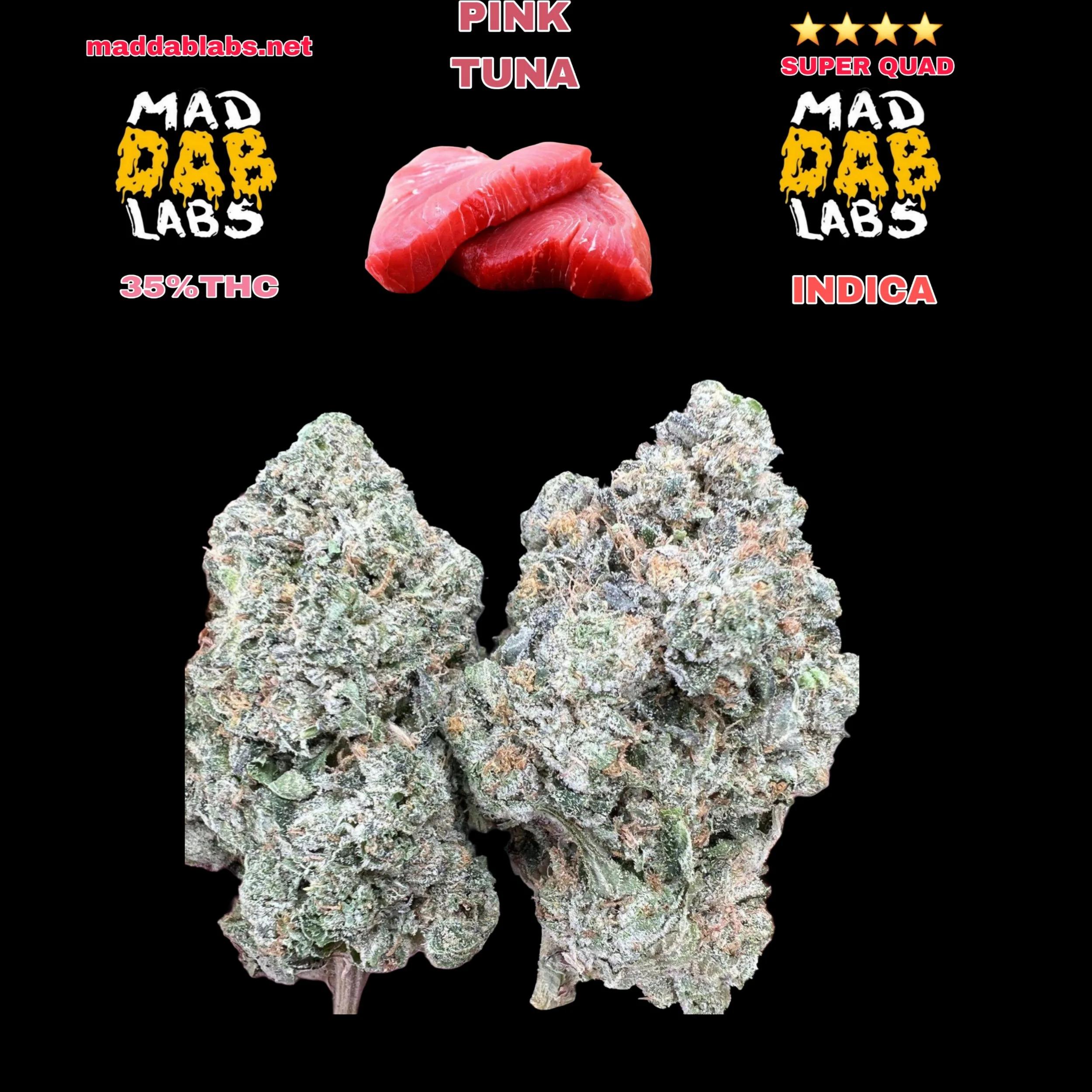 PINK TUNA - GROWN BY GLACIER MELTS🔥🔥🔥🔥🔥