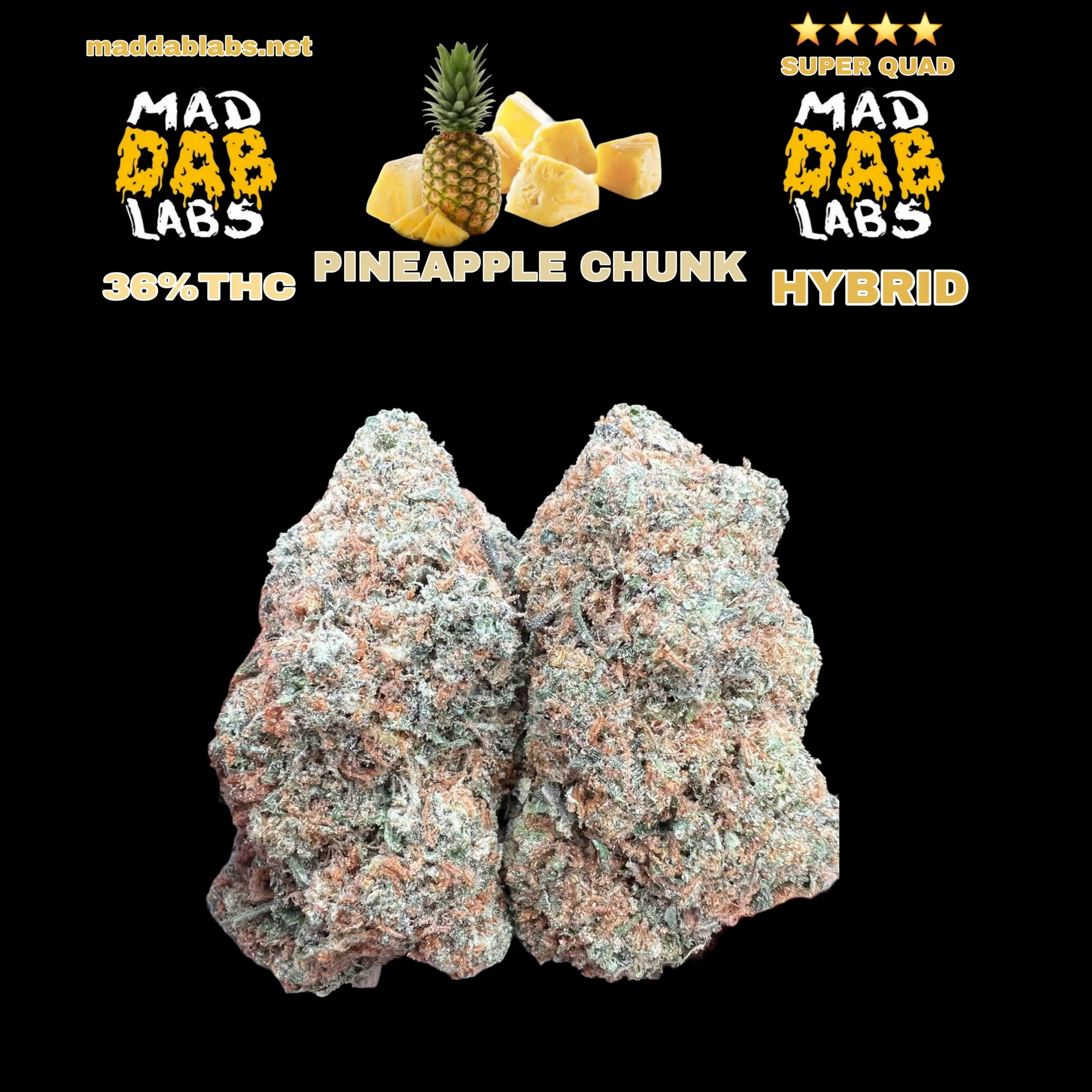PINEAPPLE CHUNK - GROWN BY MAD DAB LABS🔥🔥🔥🔥🔥