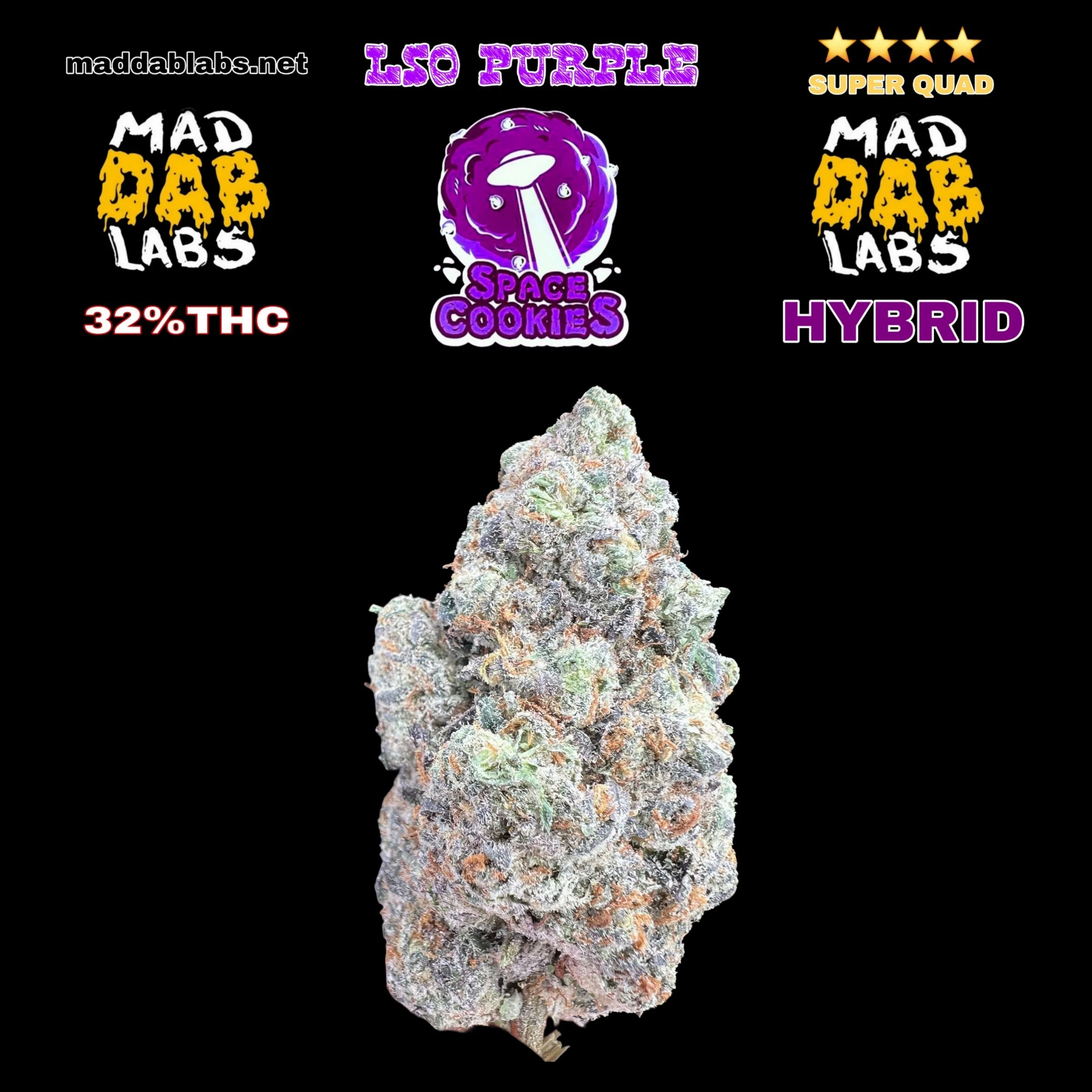 LSO PURPLE SPACE COOKIES- GROWN BY GLACIER MELTS🔥🔥🔥🔥🔥