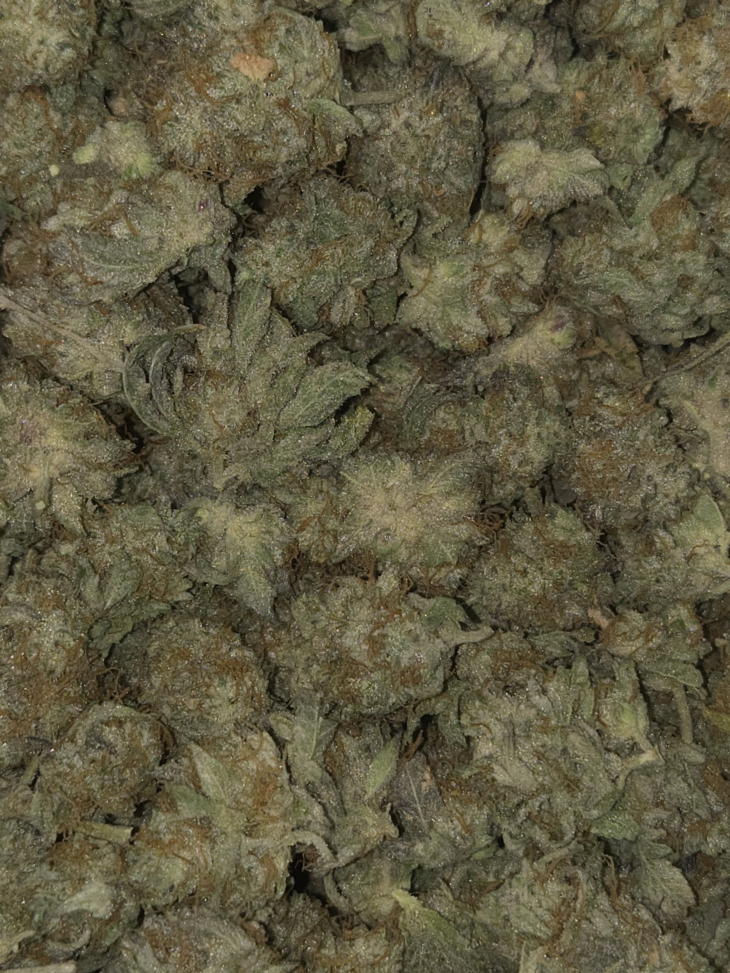 PINK KUSH (smalls)🔥🔥🔥🔥